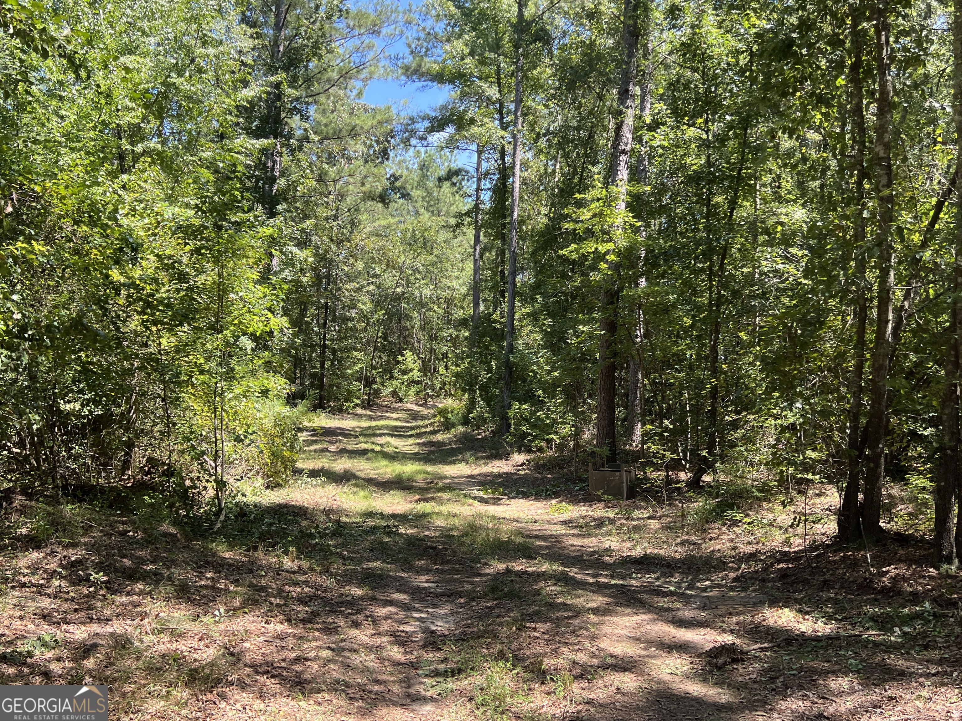 39.87 Acres Irby Road Property Photo 10