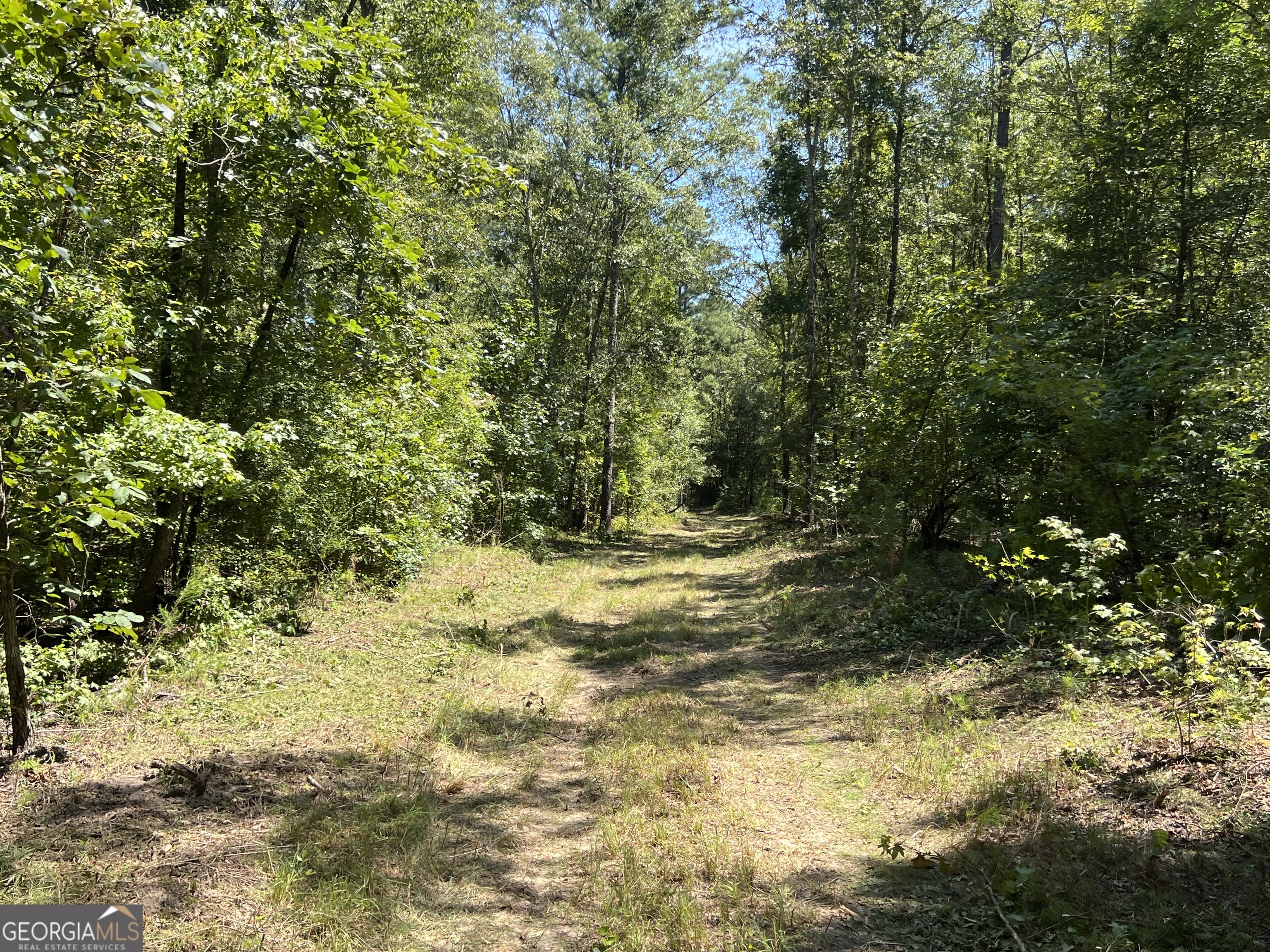 39.87 Acres Irby Road Property Photo 11
