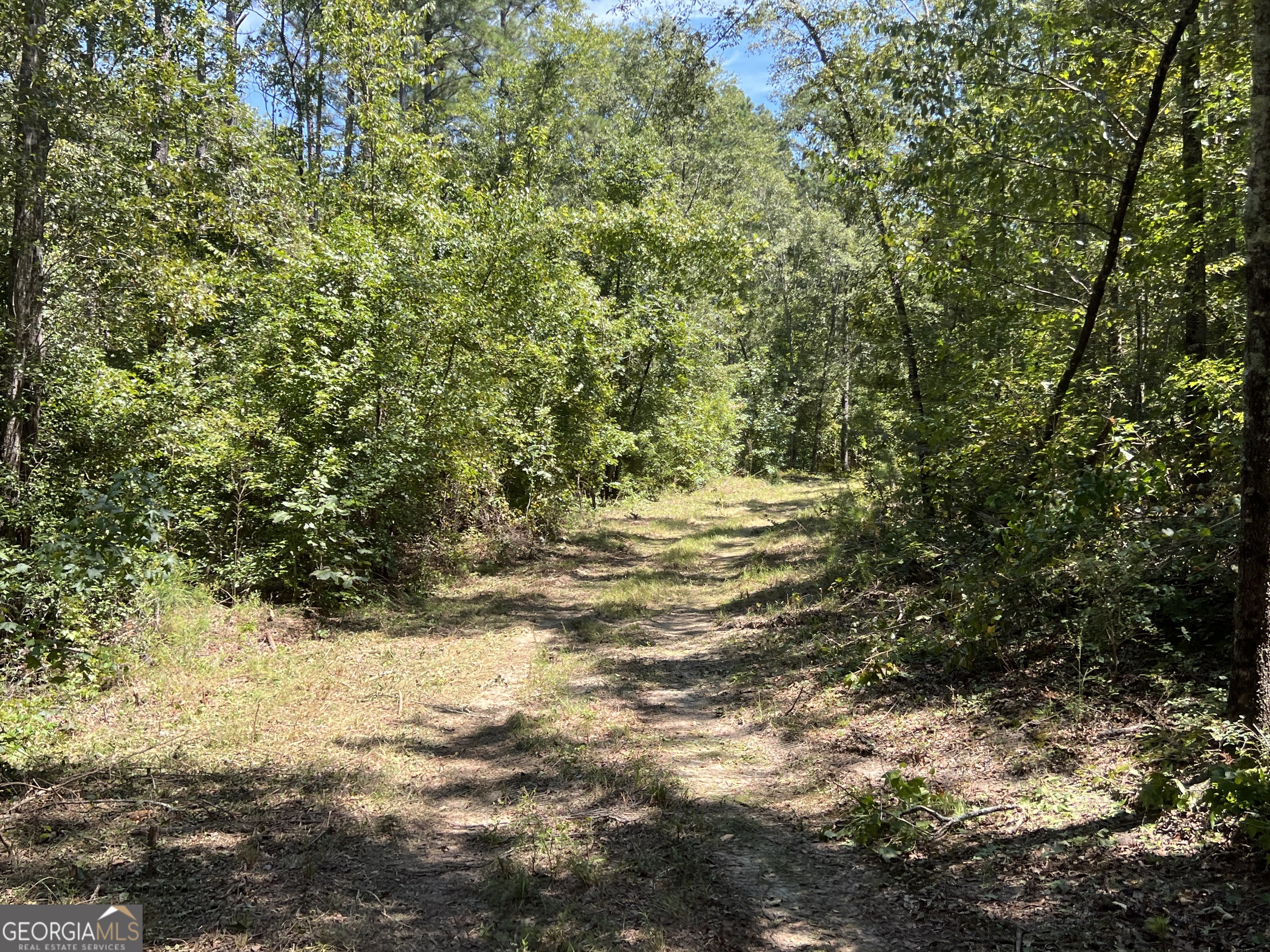39.87 Acres Irby Road Property Photo 12