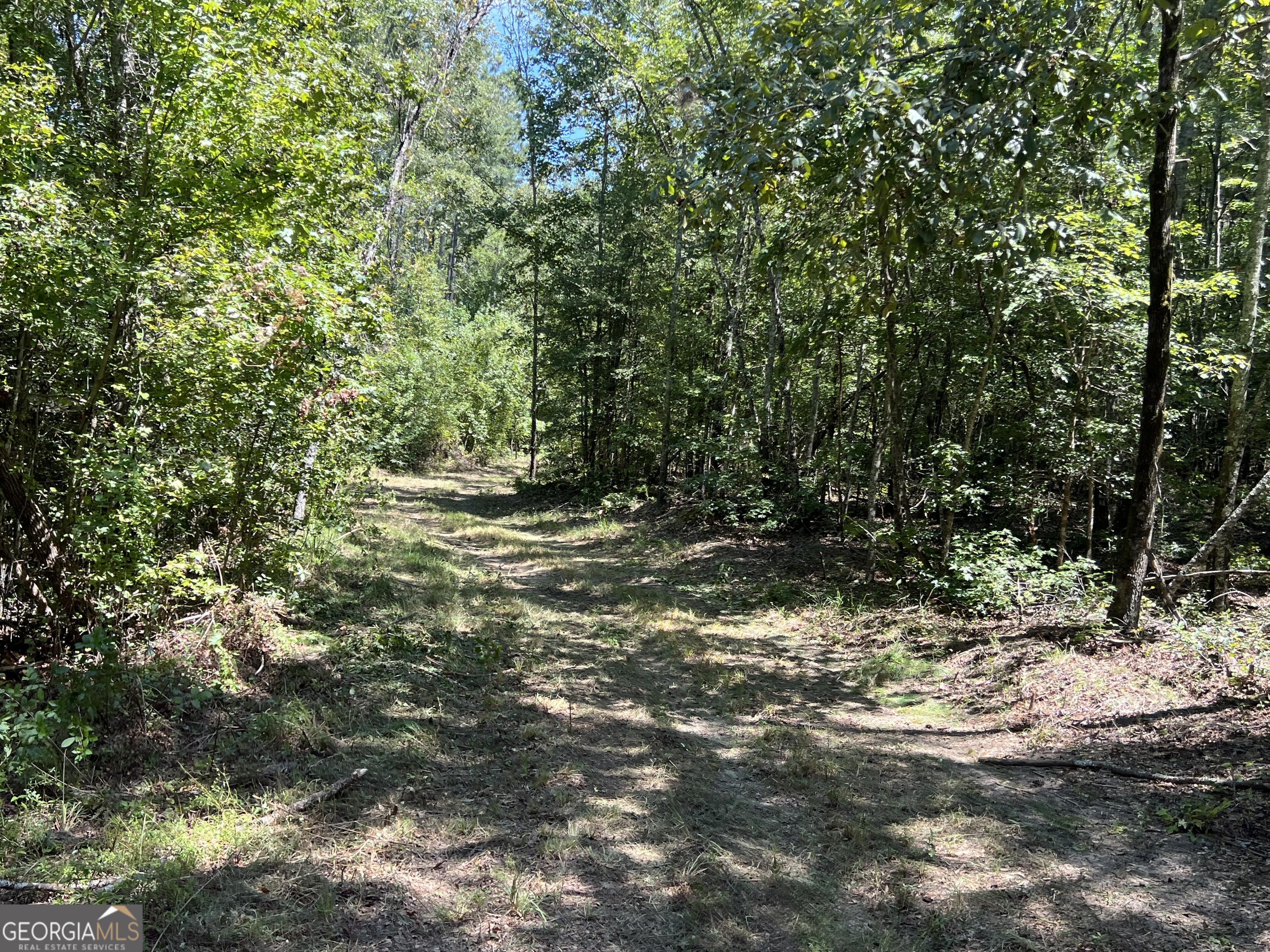 39.87 Acres Irby Road Property Photo 13