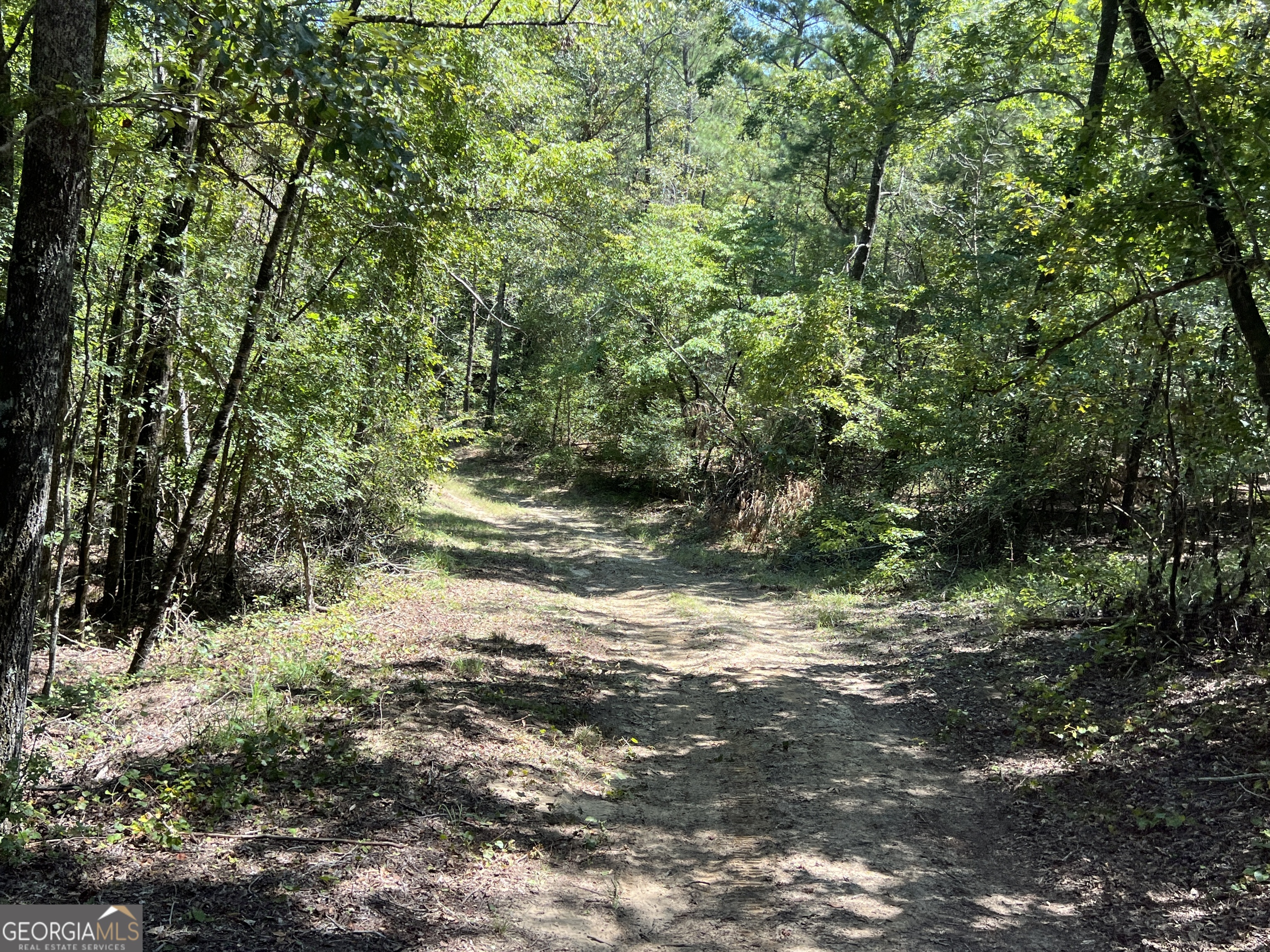 39.87 Acres Irby Road Property Photo 14