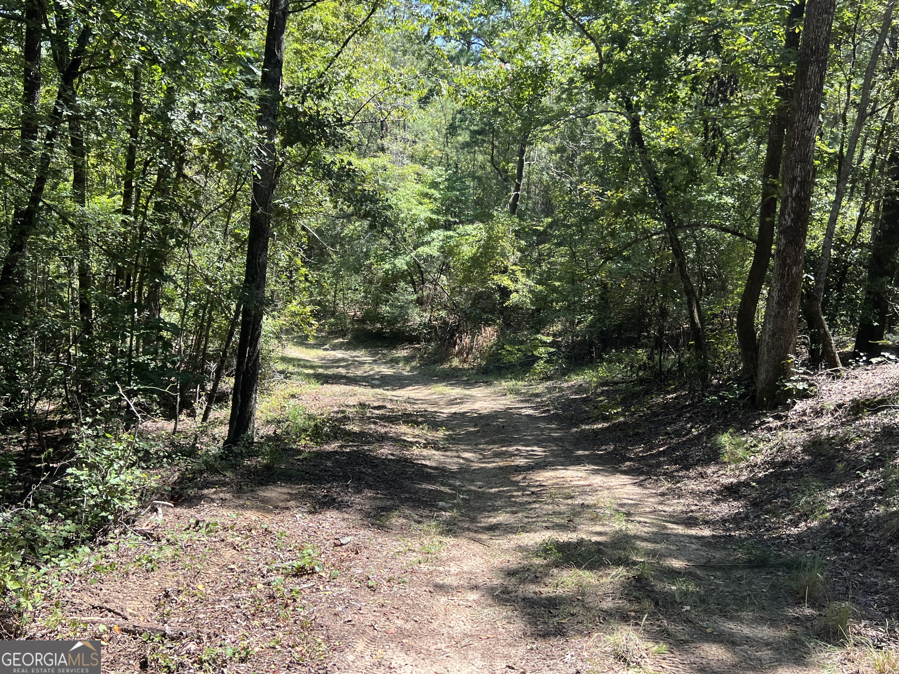 39.87 Acres Irby Road Property Photo 15