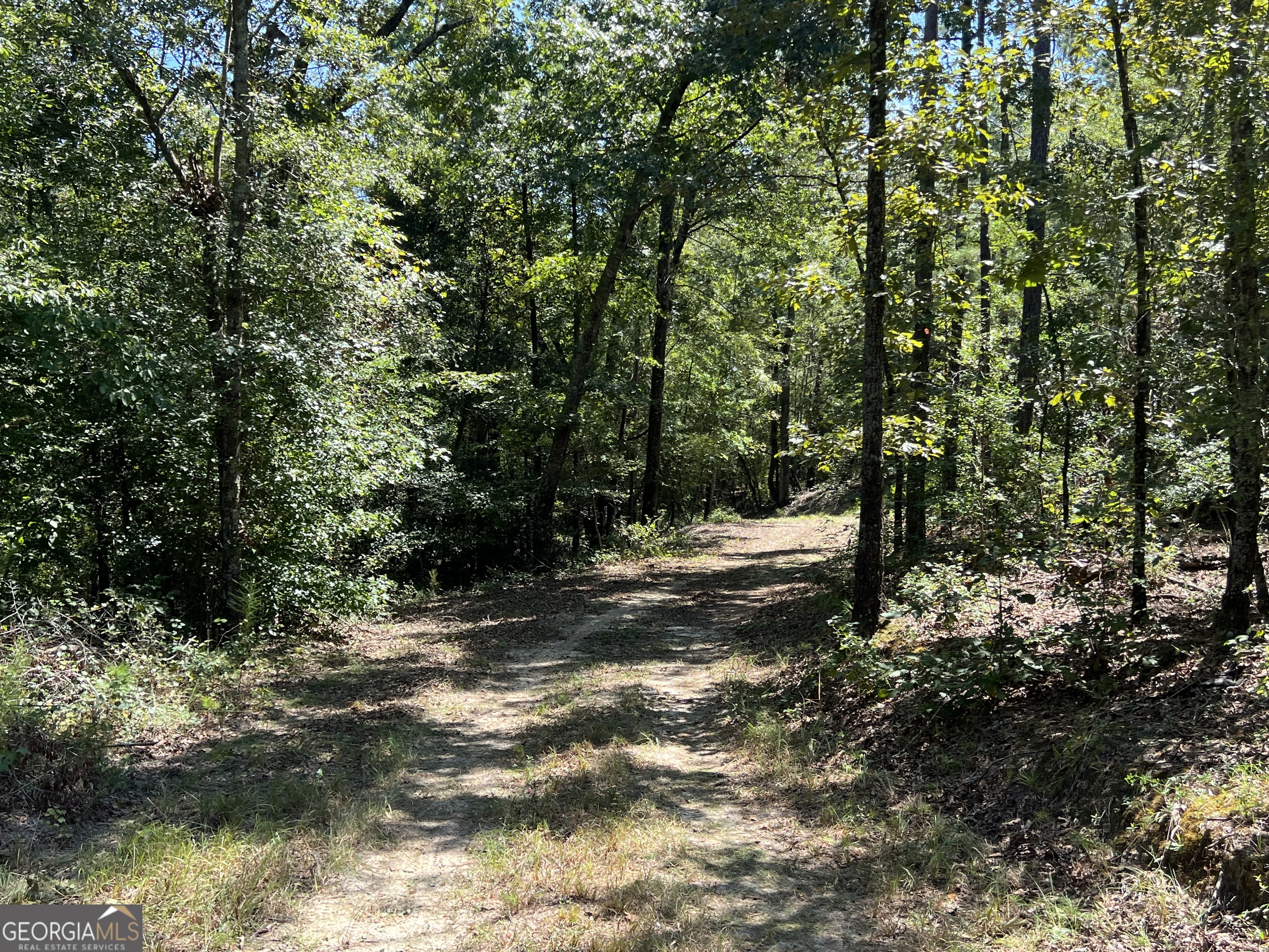 39.87 Acres Irby Road Property Photo 16