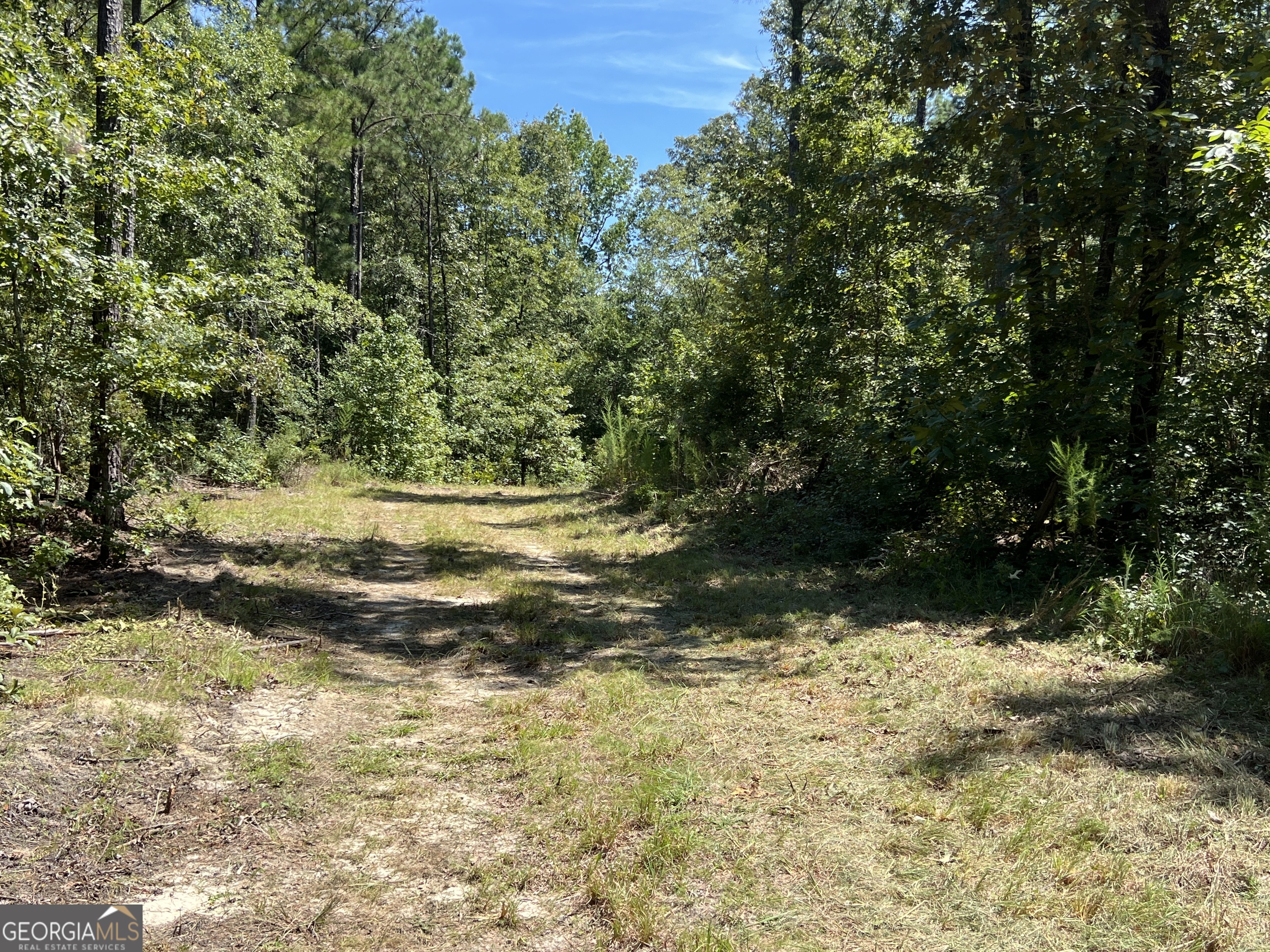 39.87 Acres Irby Road Property Photo 17