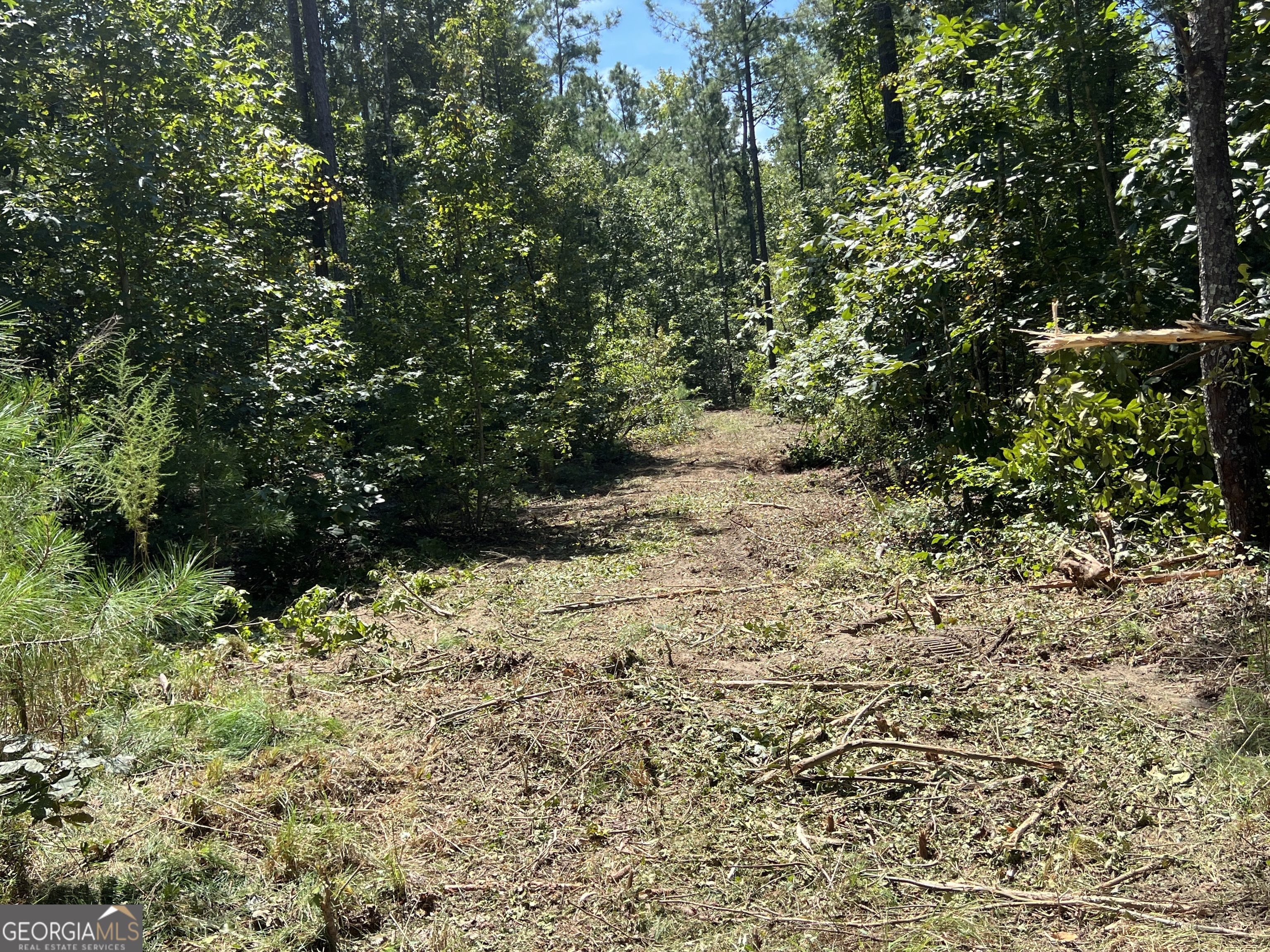 39.87 Acres Irby Road Property Photo 18