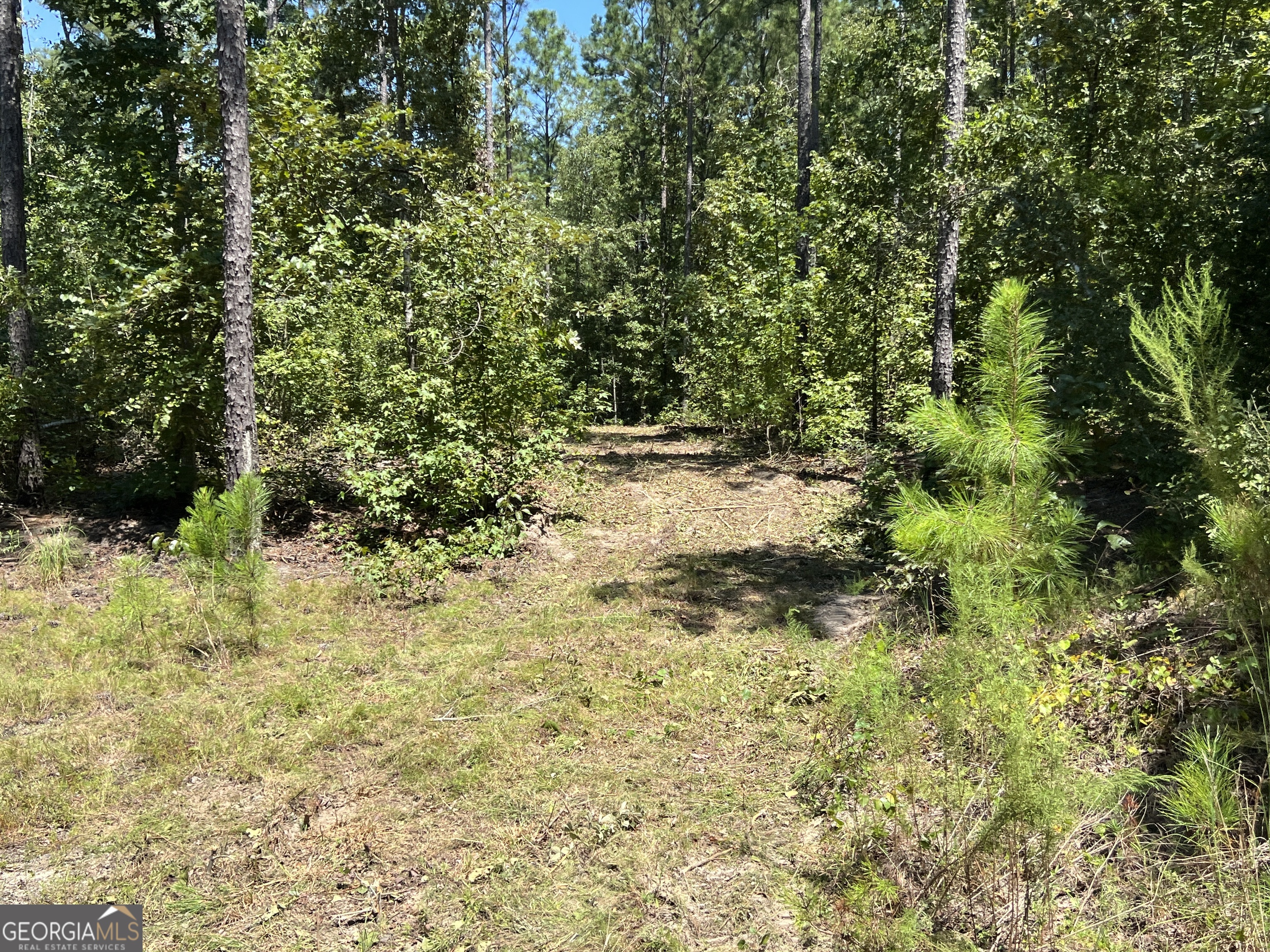 39.87 Acres Irby Road Property Photo 19