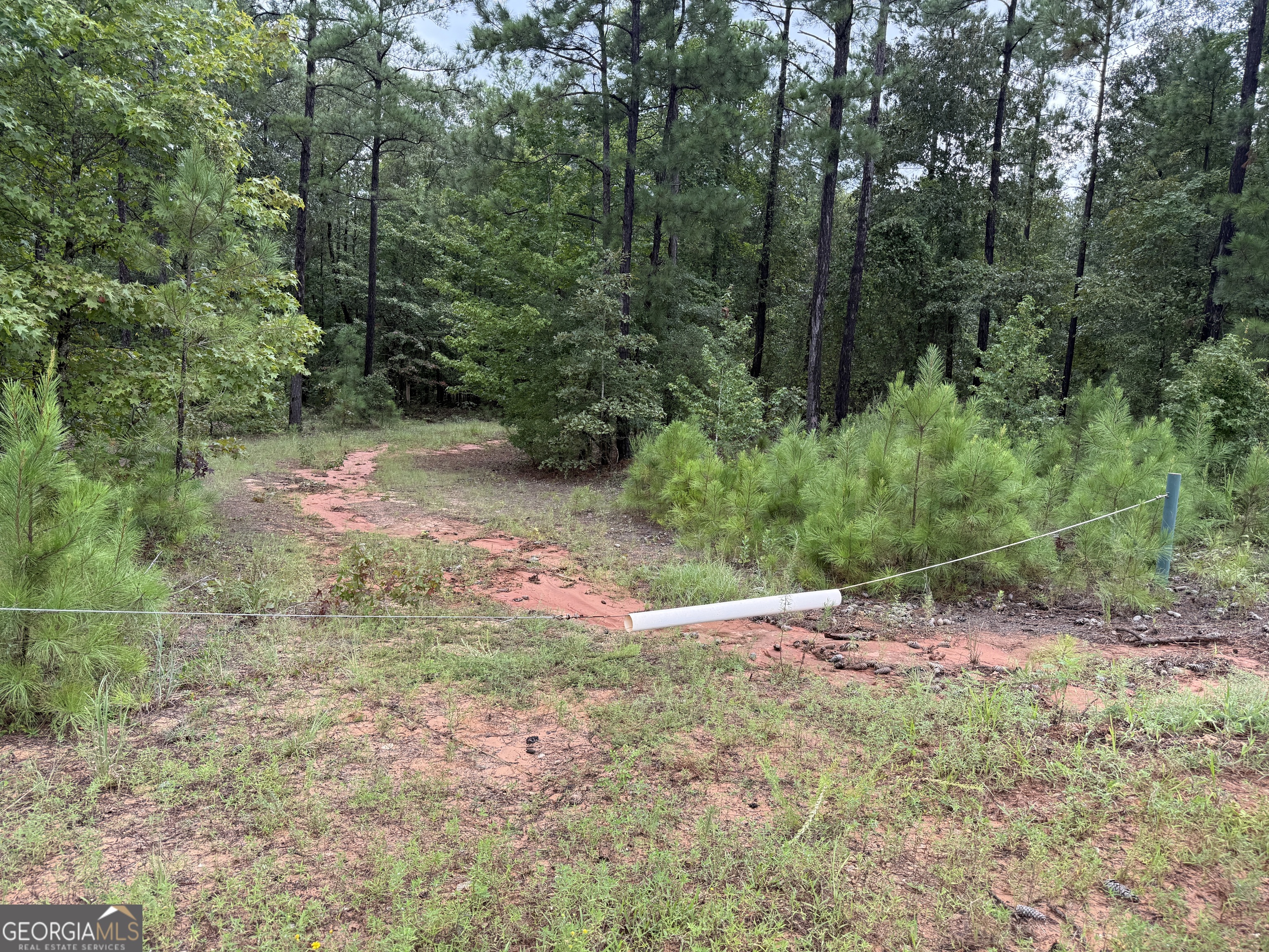 39.87 Acres Irby Road Property Photo 20