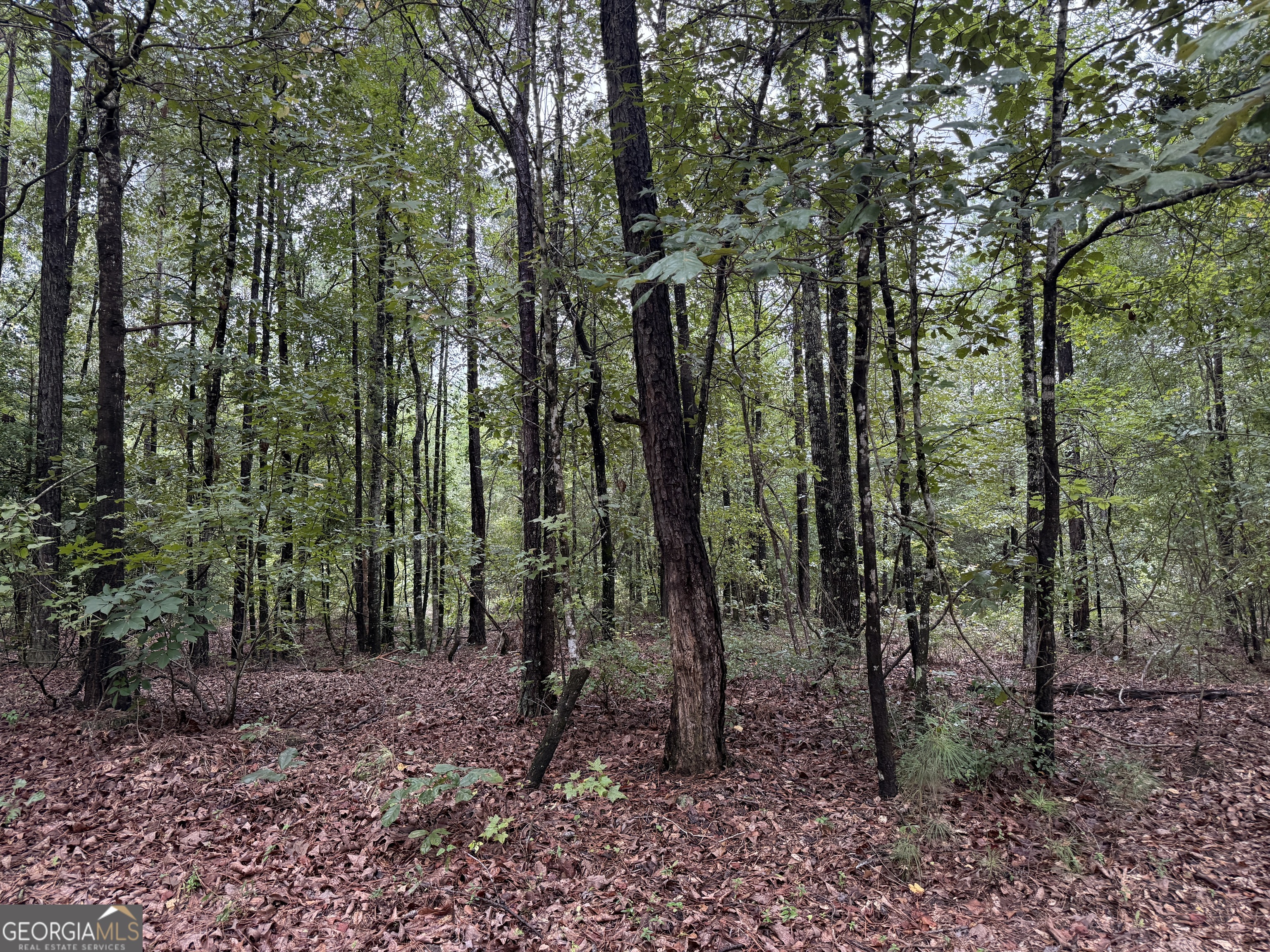 39.87 Acres Irby Road Property Photo 21