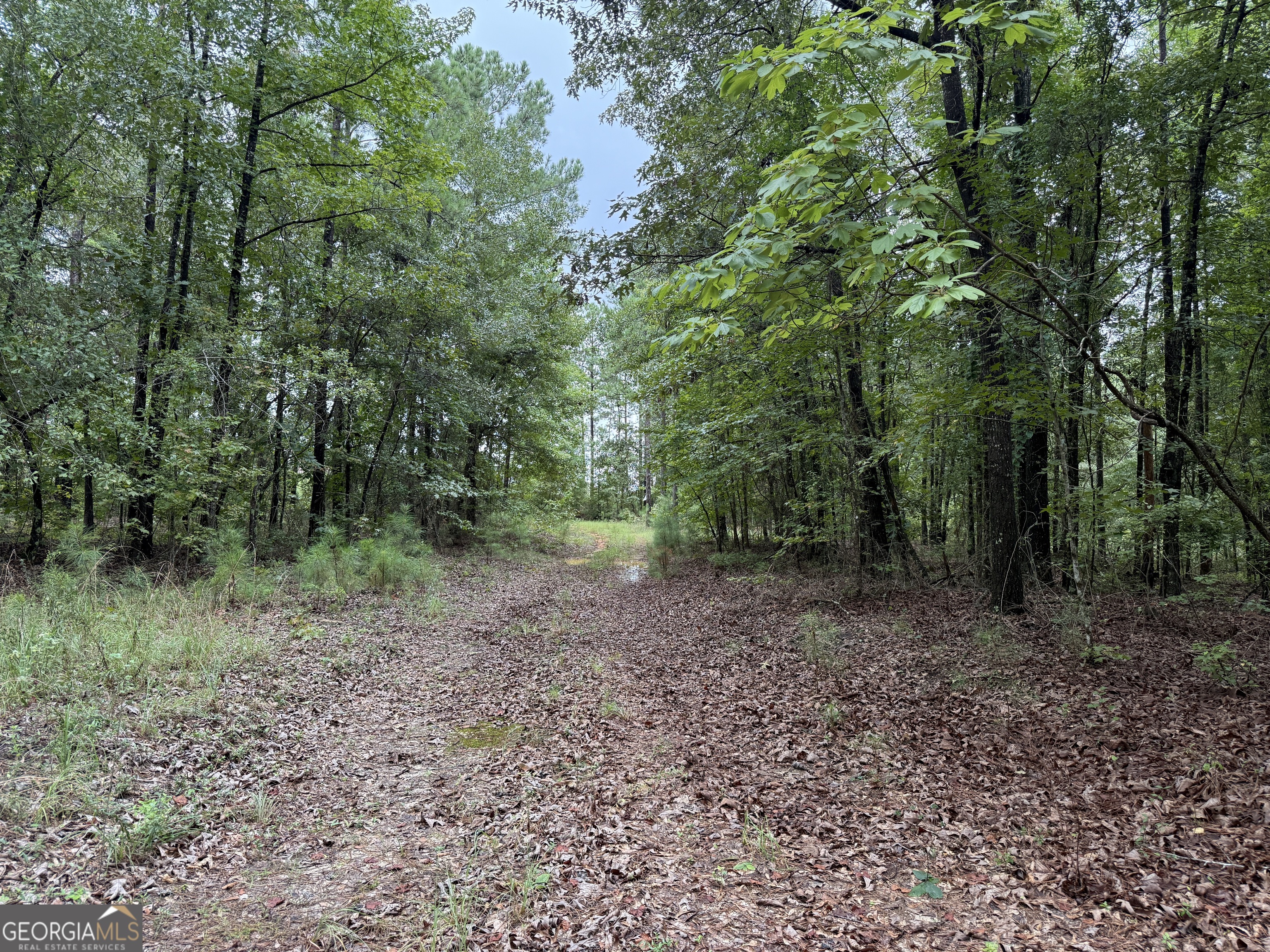 39.87 Acres Irby Road Property Photo 22