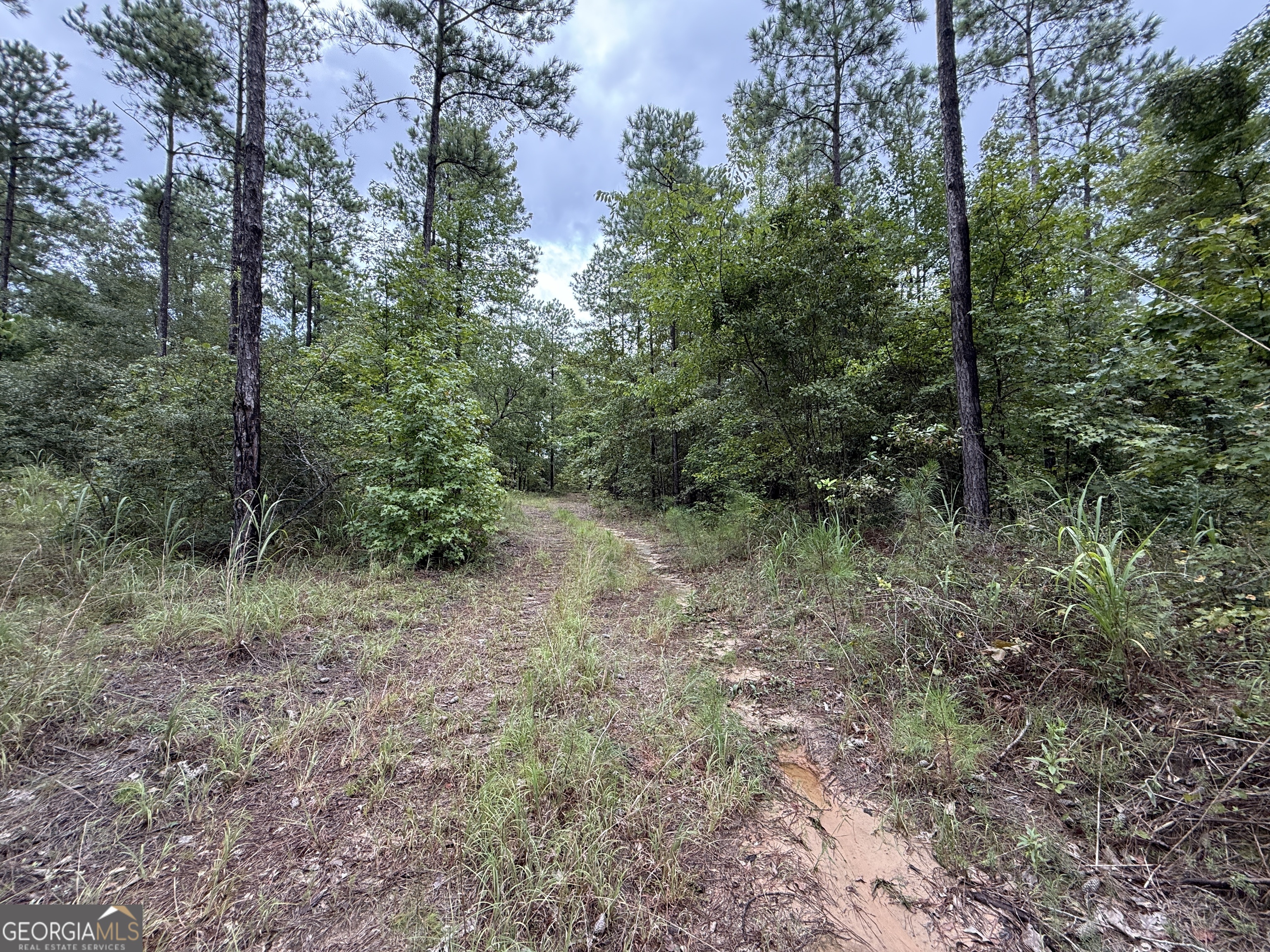 39.87 Acres Irby Road Property Photo 23