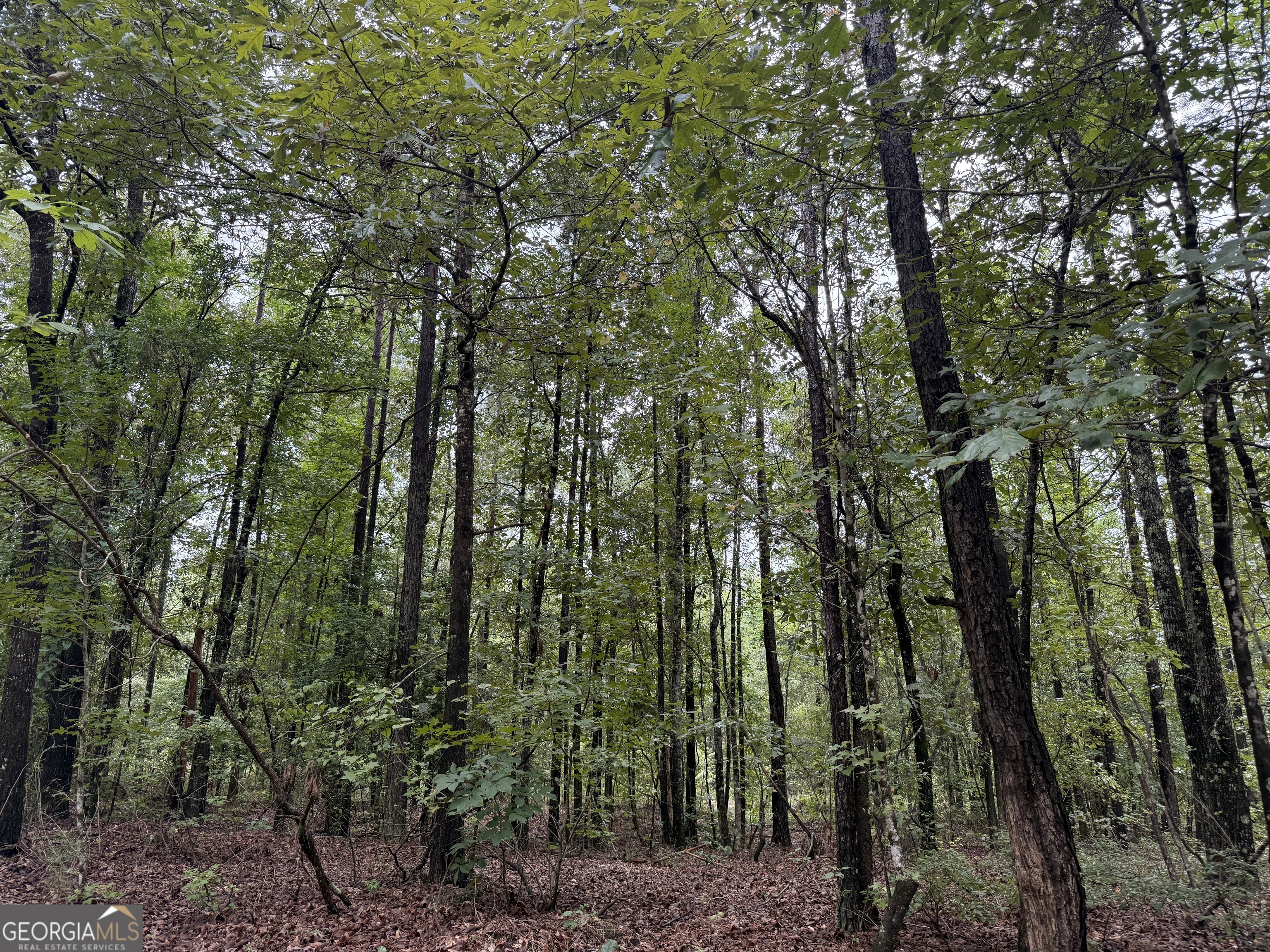 39.87 Acres Irby Road Property Photo 24