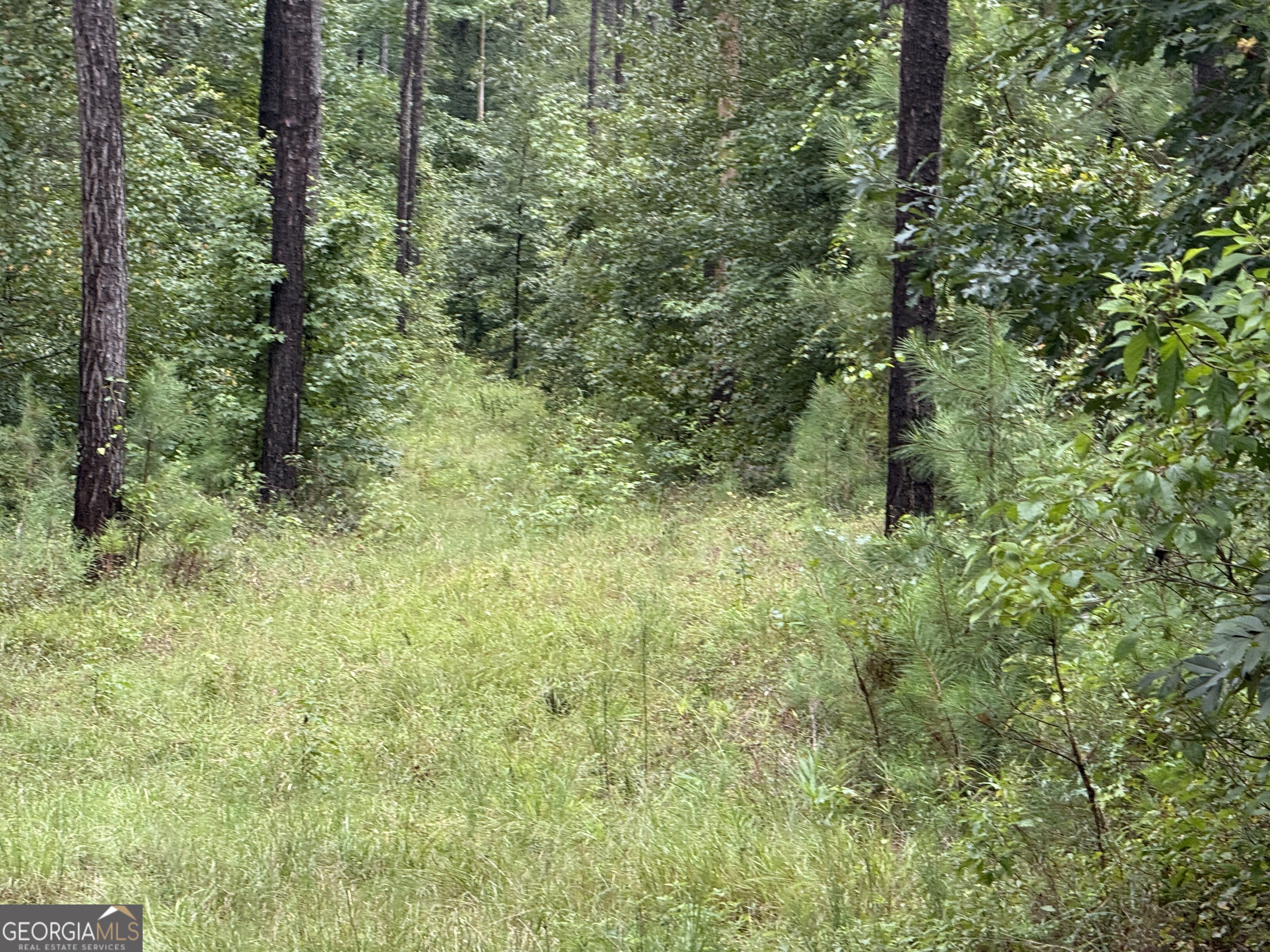 39.87 Acres Irby Road Property Photo 25