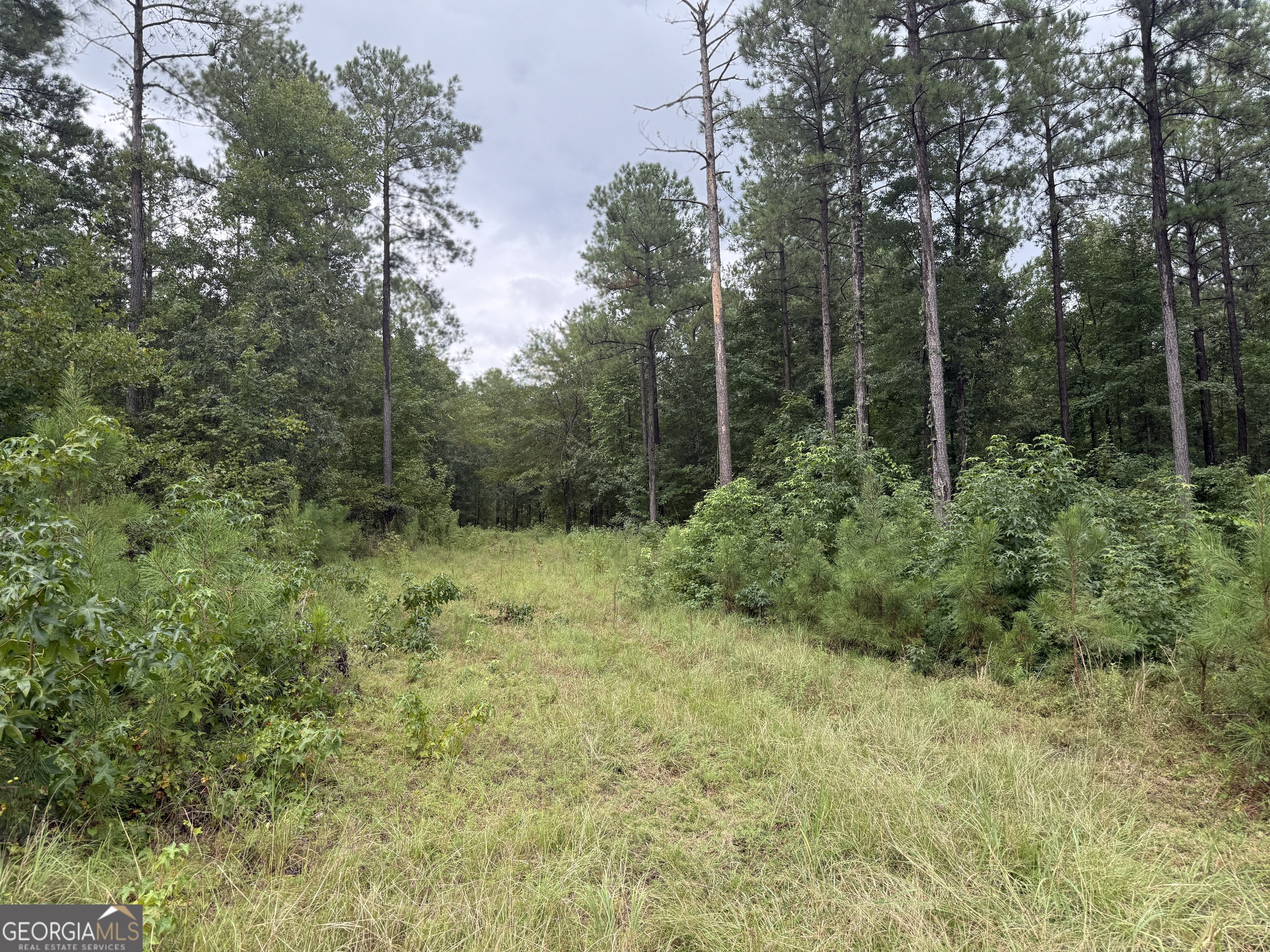 39.87 Acres Irby Road Property Photo 27
