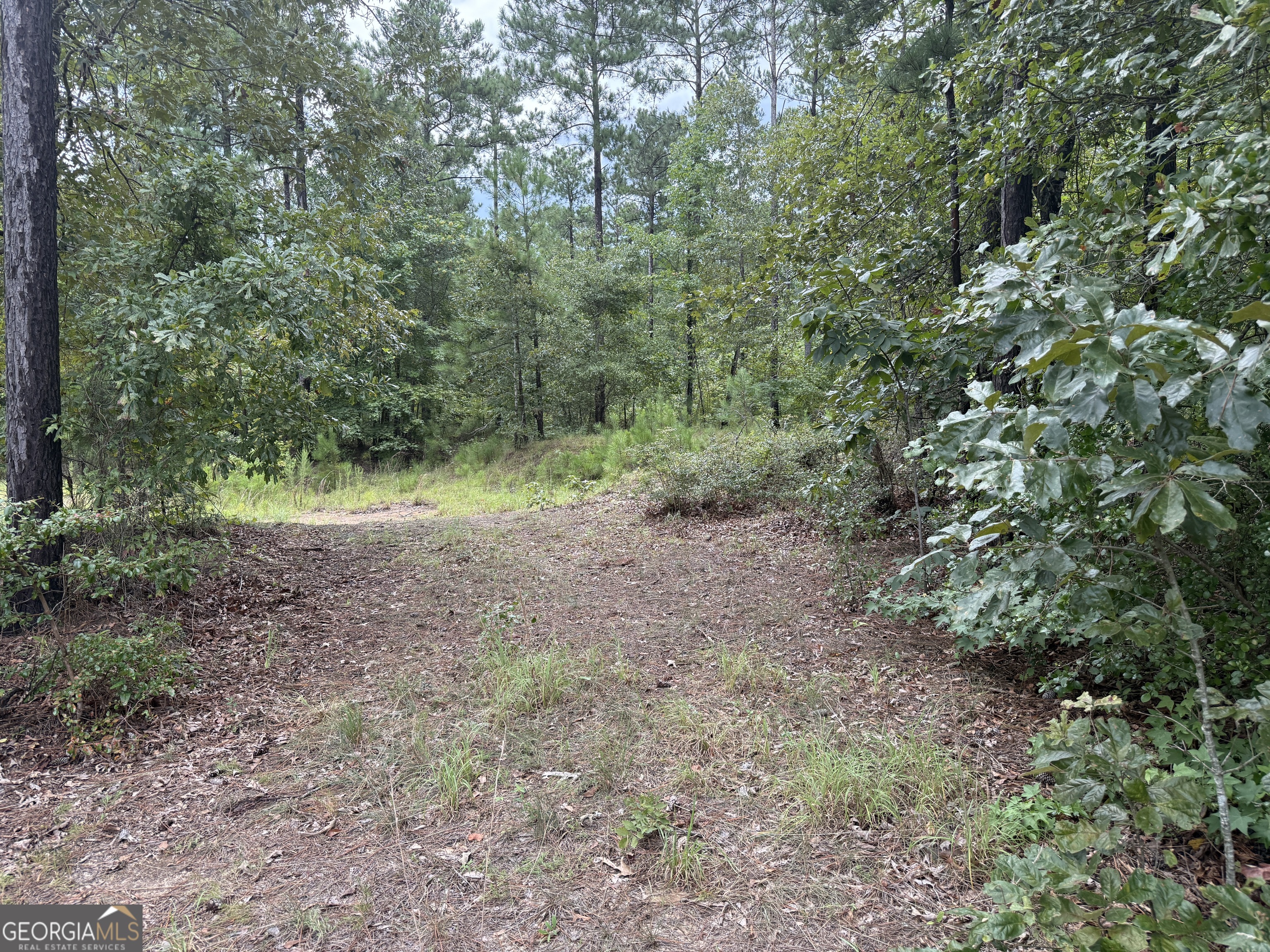 39.87 Acres Irby Road Property Photo 28
