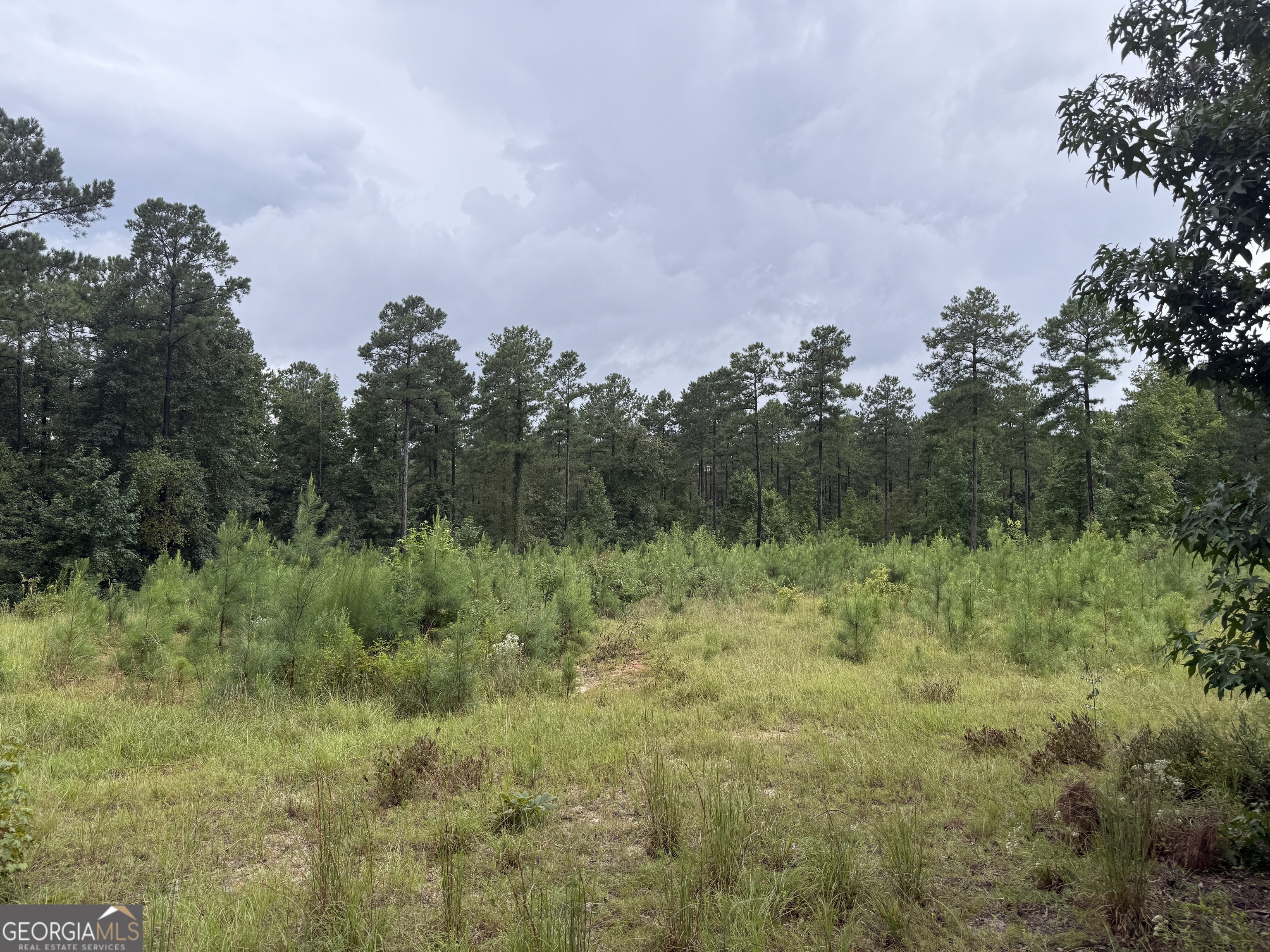 39.87 Acres Irby Road Property Photo 29