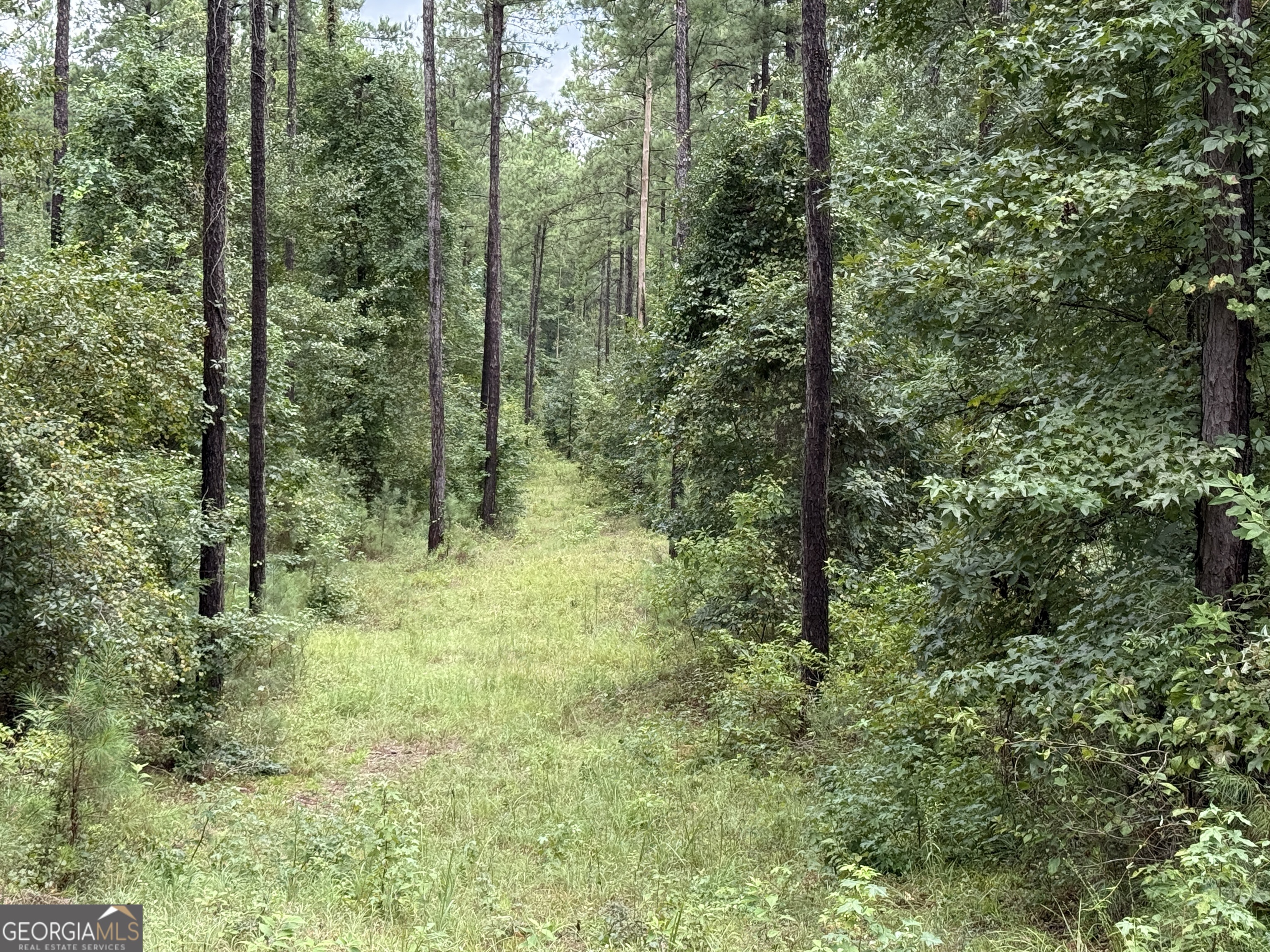 39.87 Acres Irby Road Property Photo 30