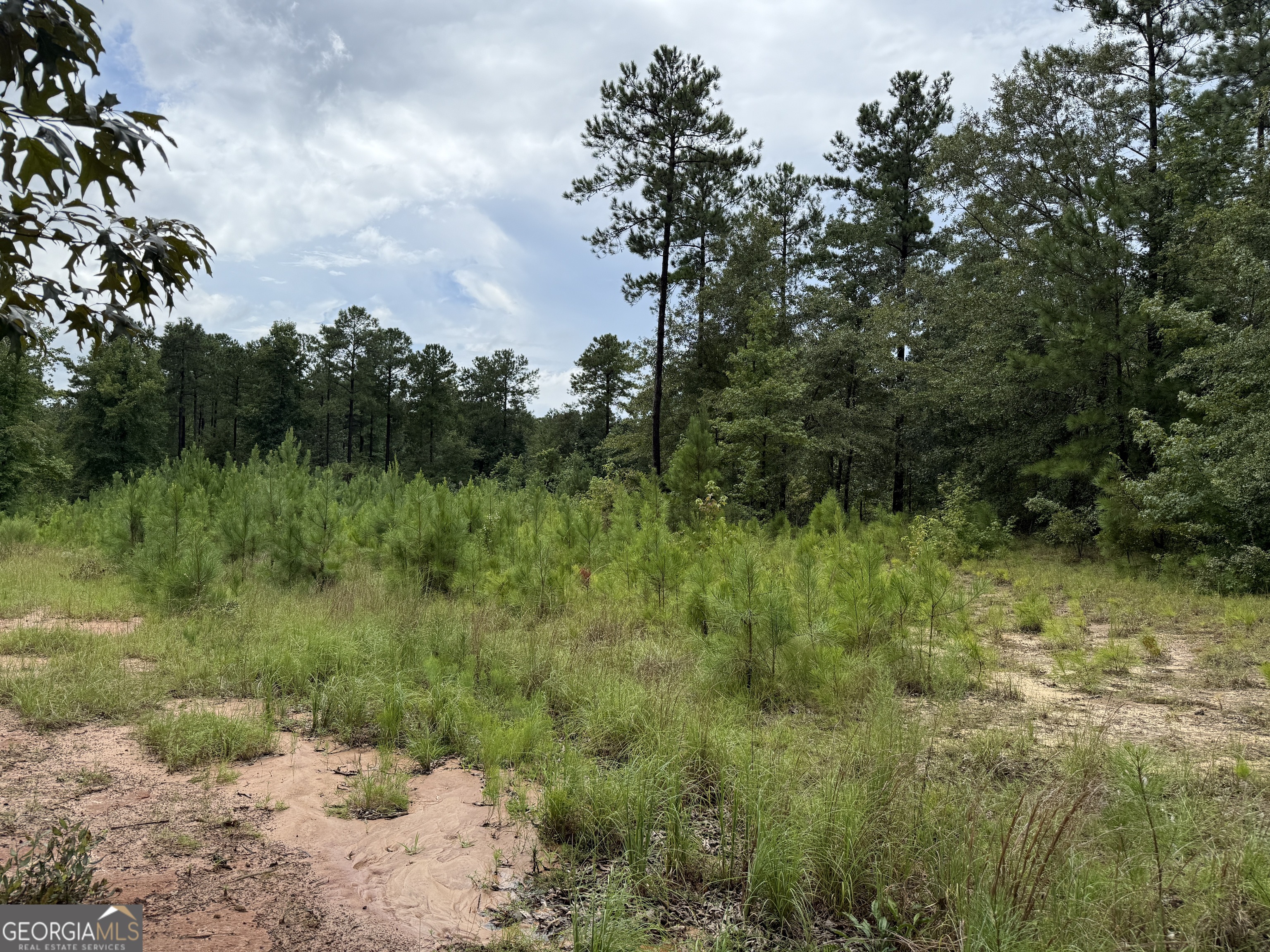 39.87 Acres Irby Road Property Photo 31