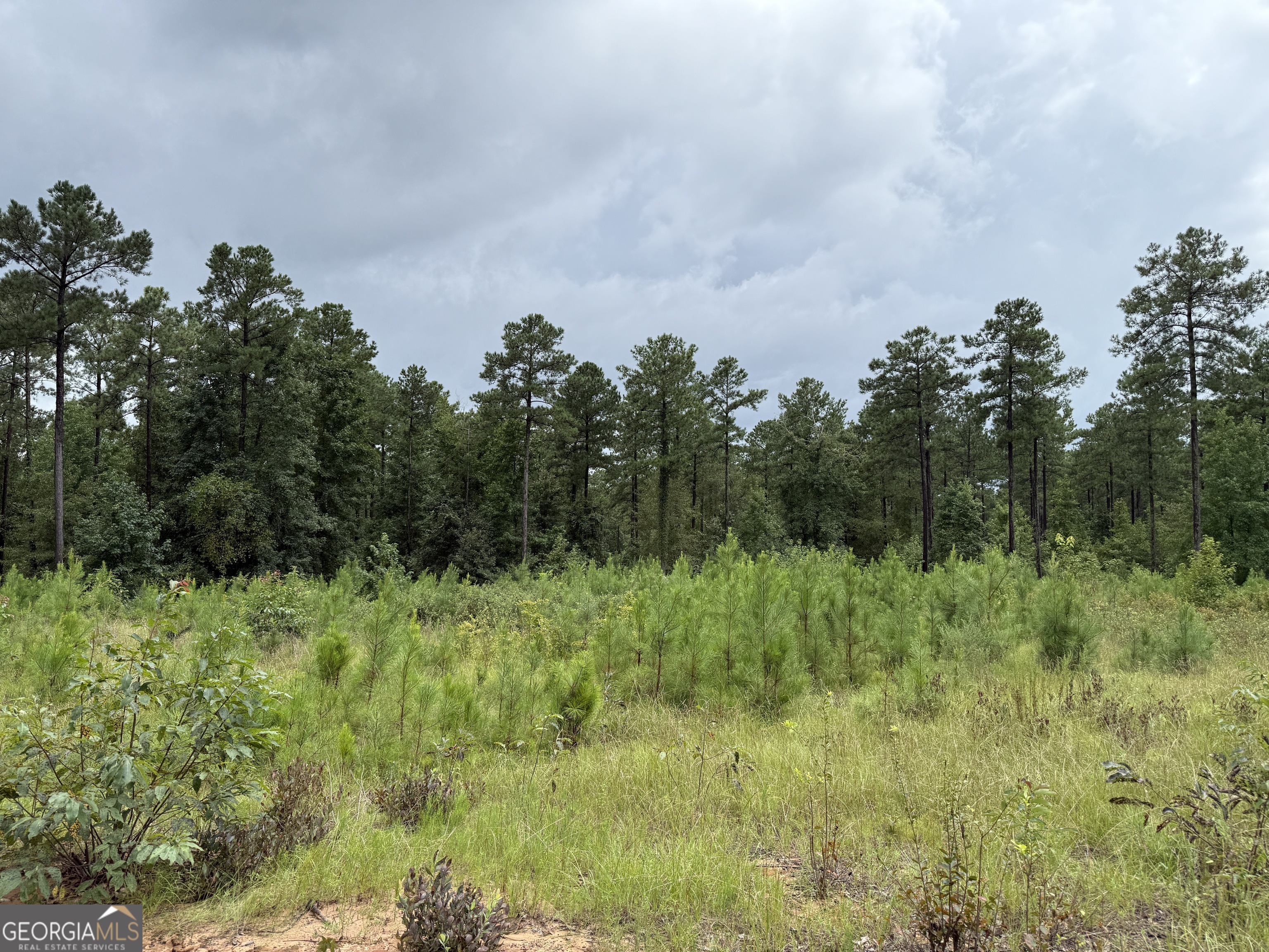 39.87 Acres Irby Road Property Photo 32