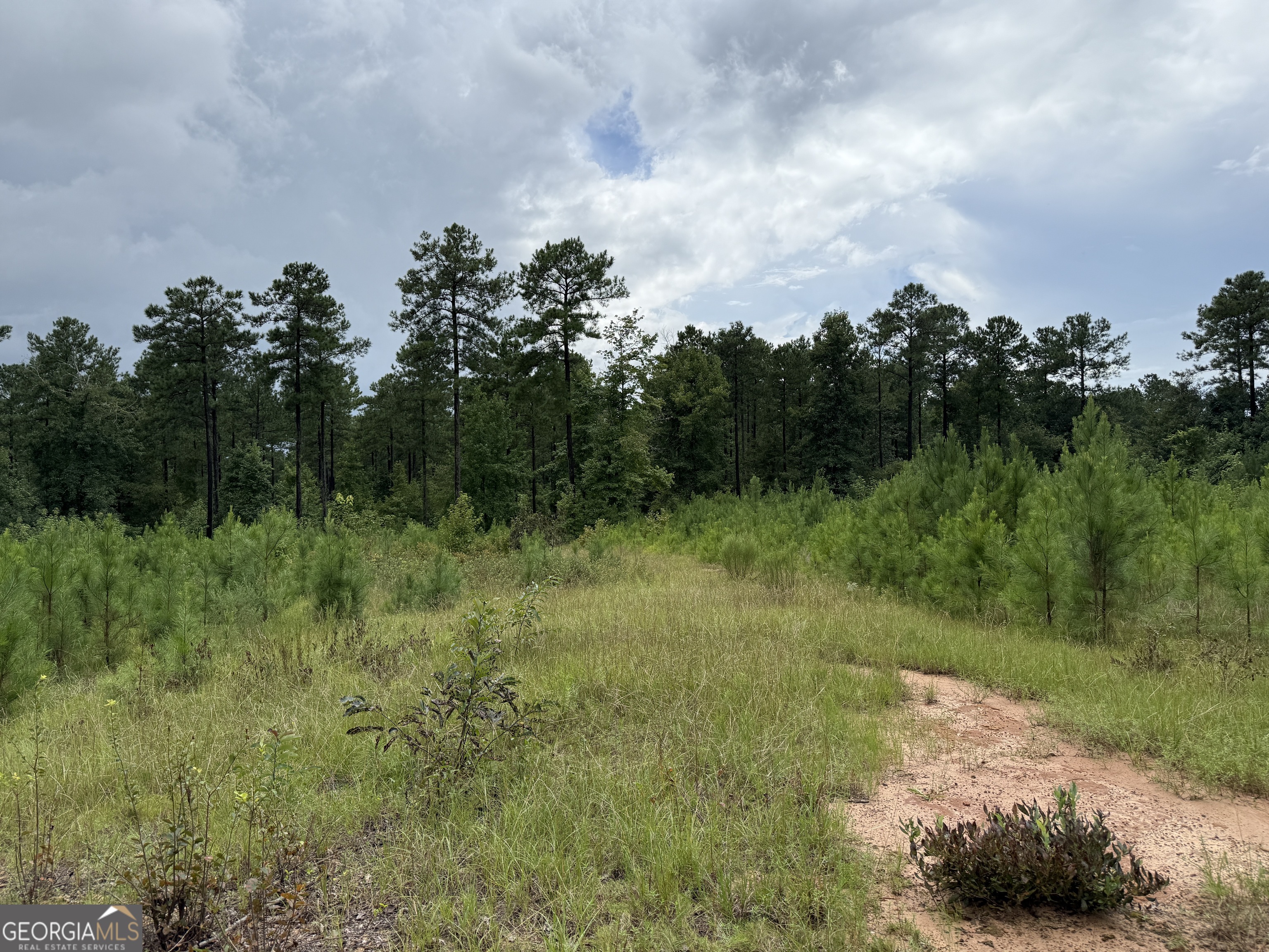 39.87 Acres Irby Road Property Photo 33