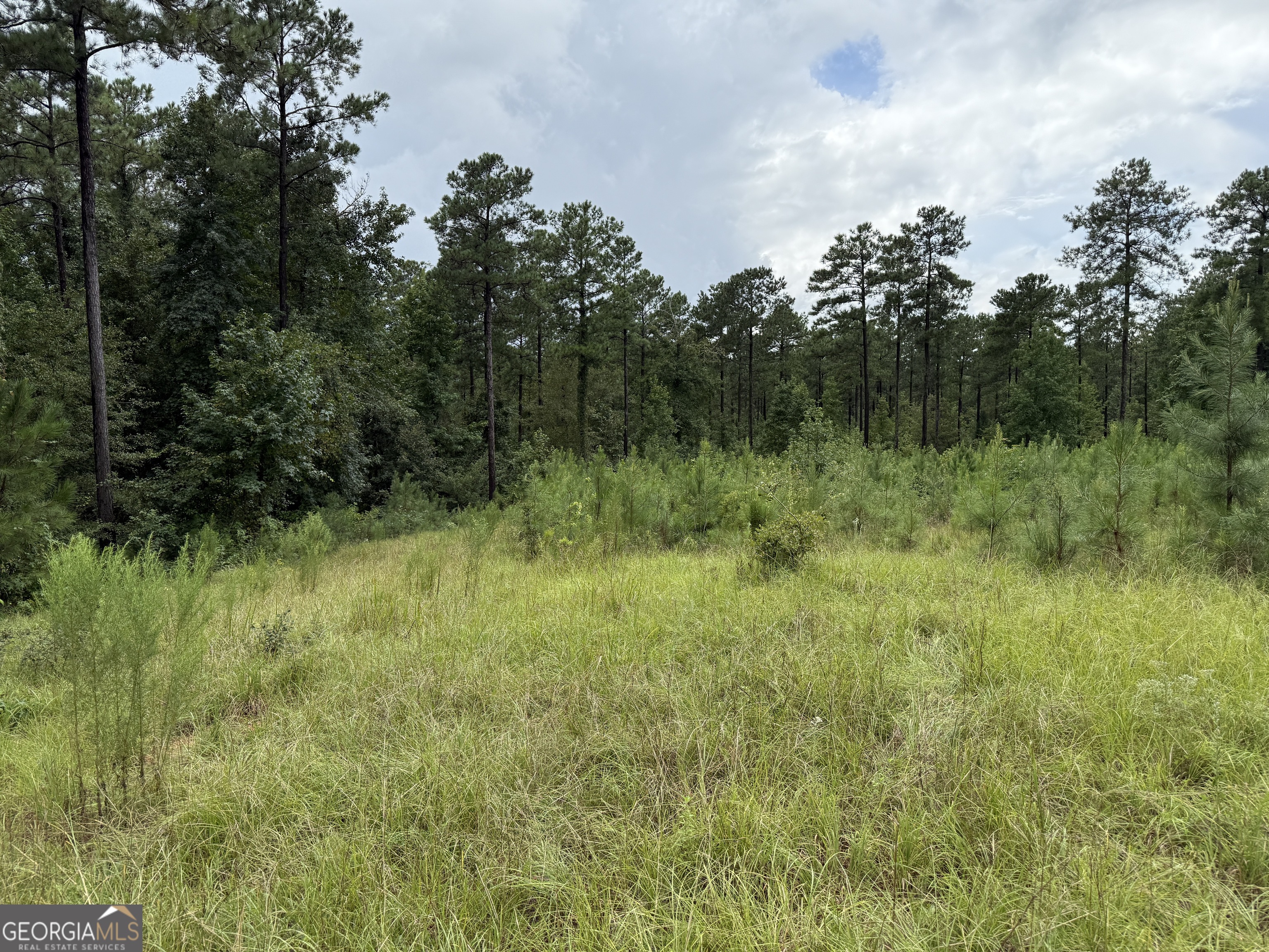 39.87 Acres Irby Road Property Photo 34