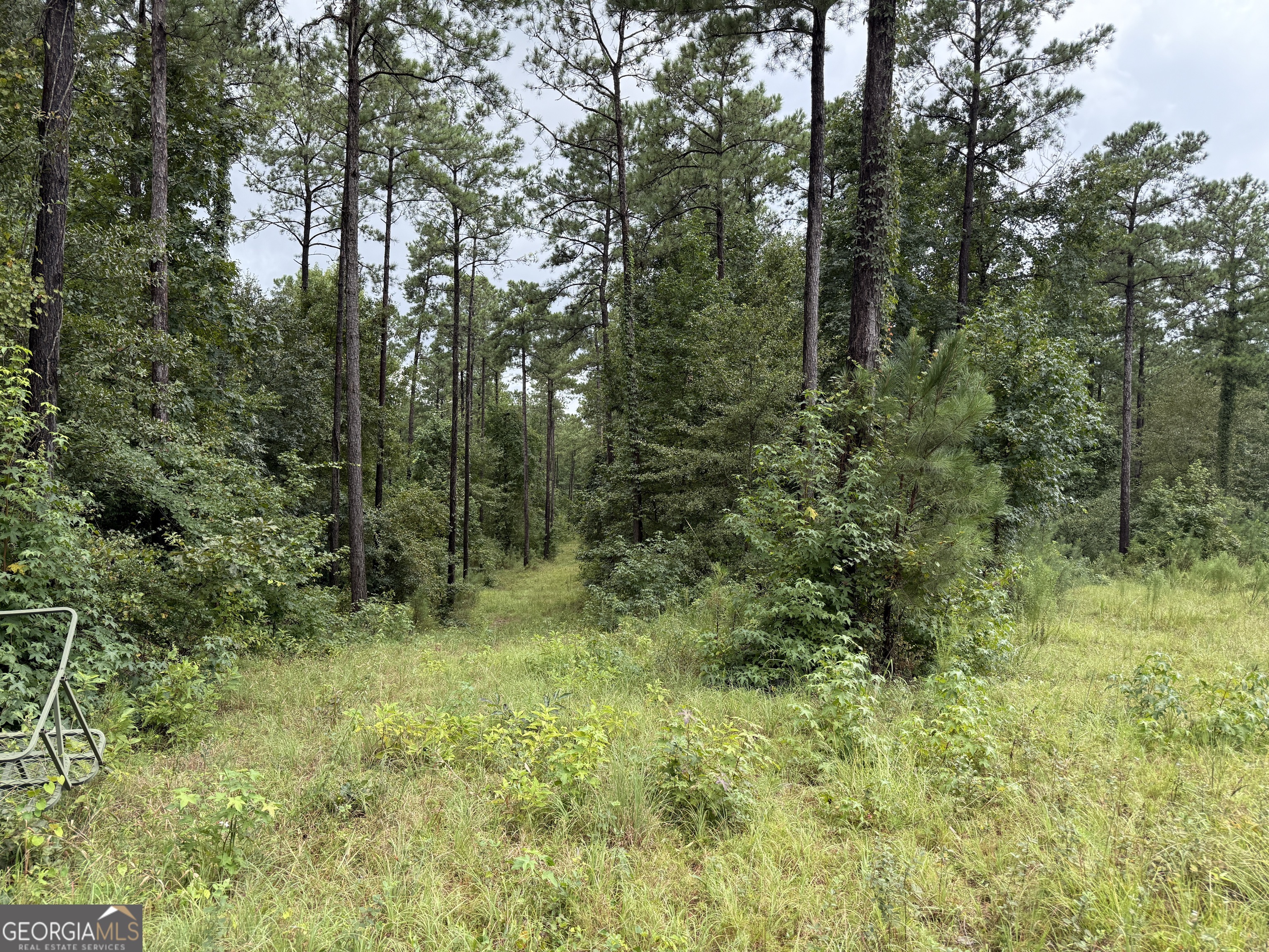 39.87 Acres Irby Road Property Photo 35
