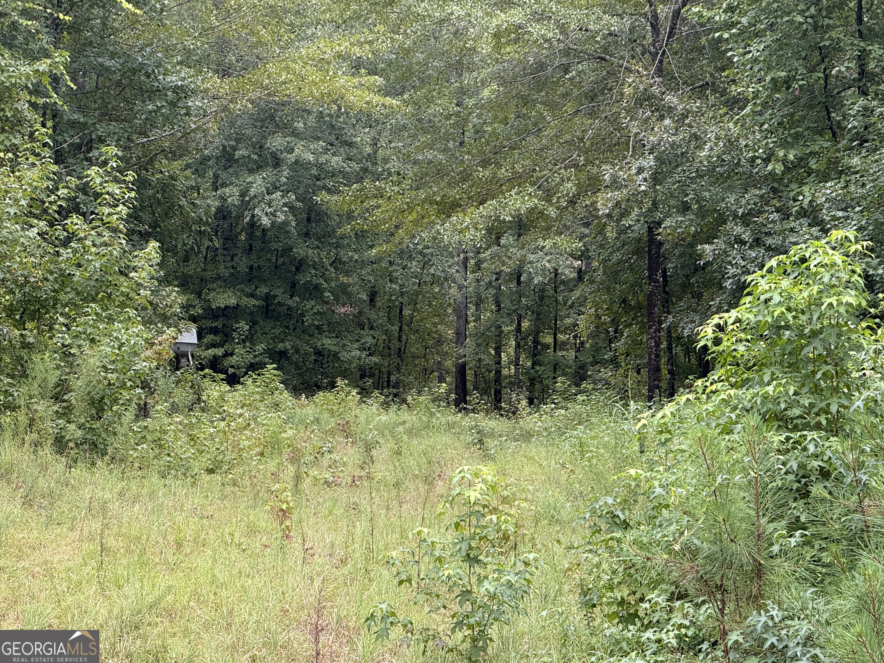 39.87 Acres Irby Road Property Photo 36