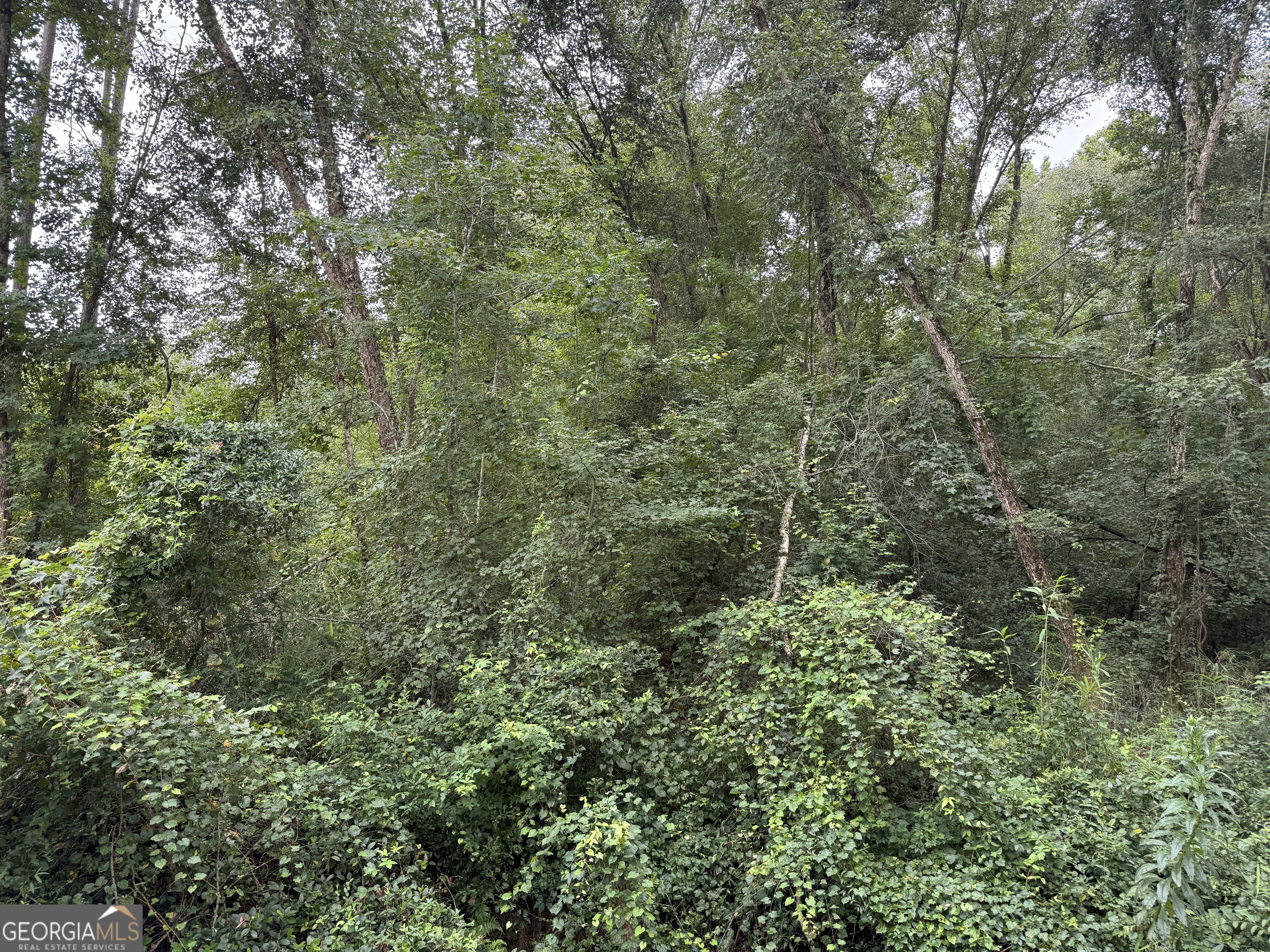 39.87 Acres Irby Road Property Photo 38