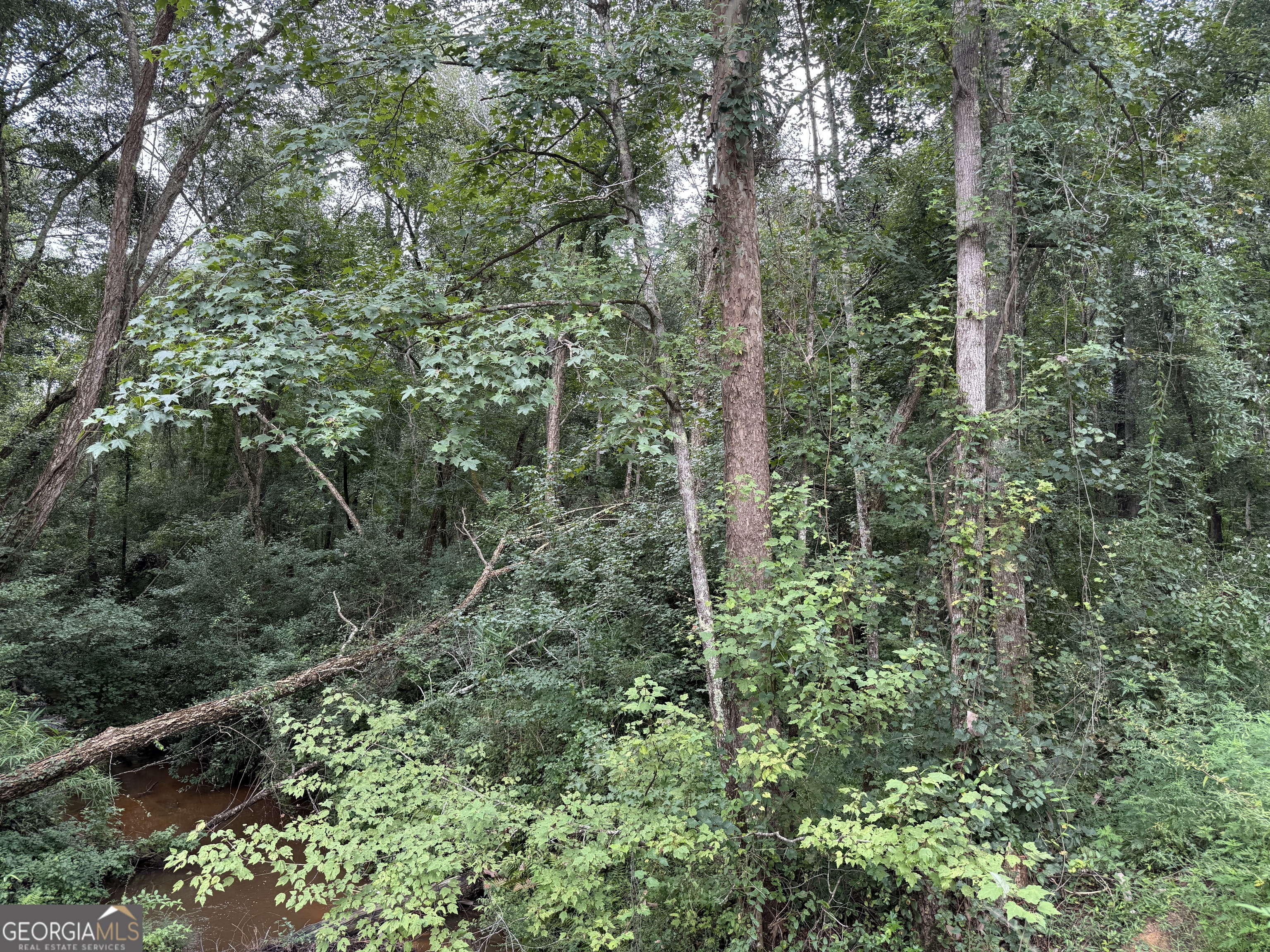 39.87 Acres Irby Road Property Photo 39