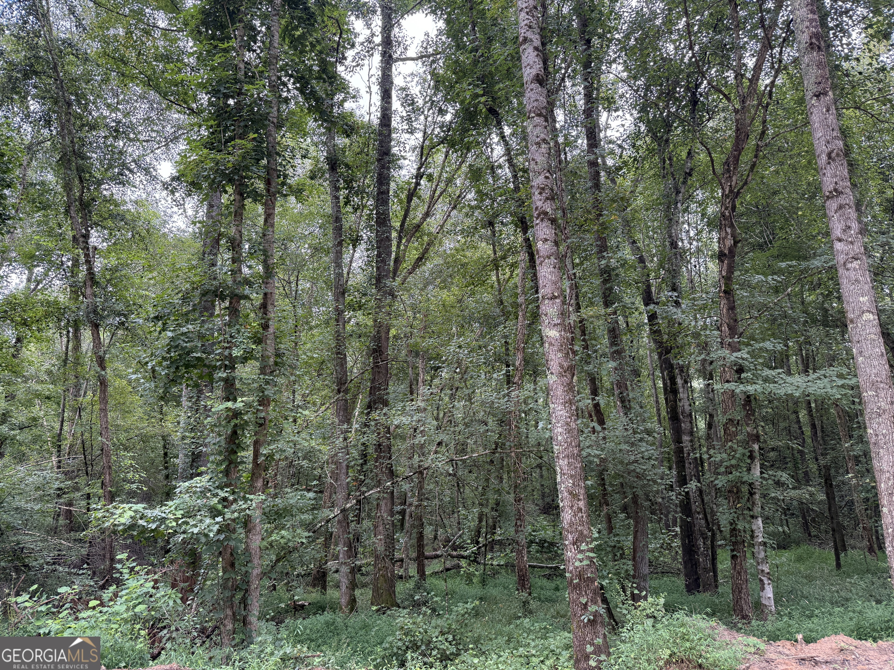 39.87 Acres Irby Road Property Photo 40