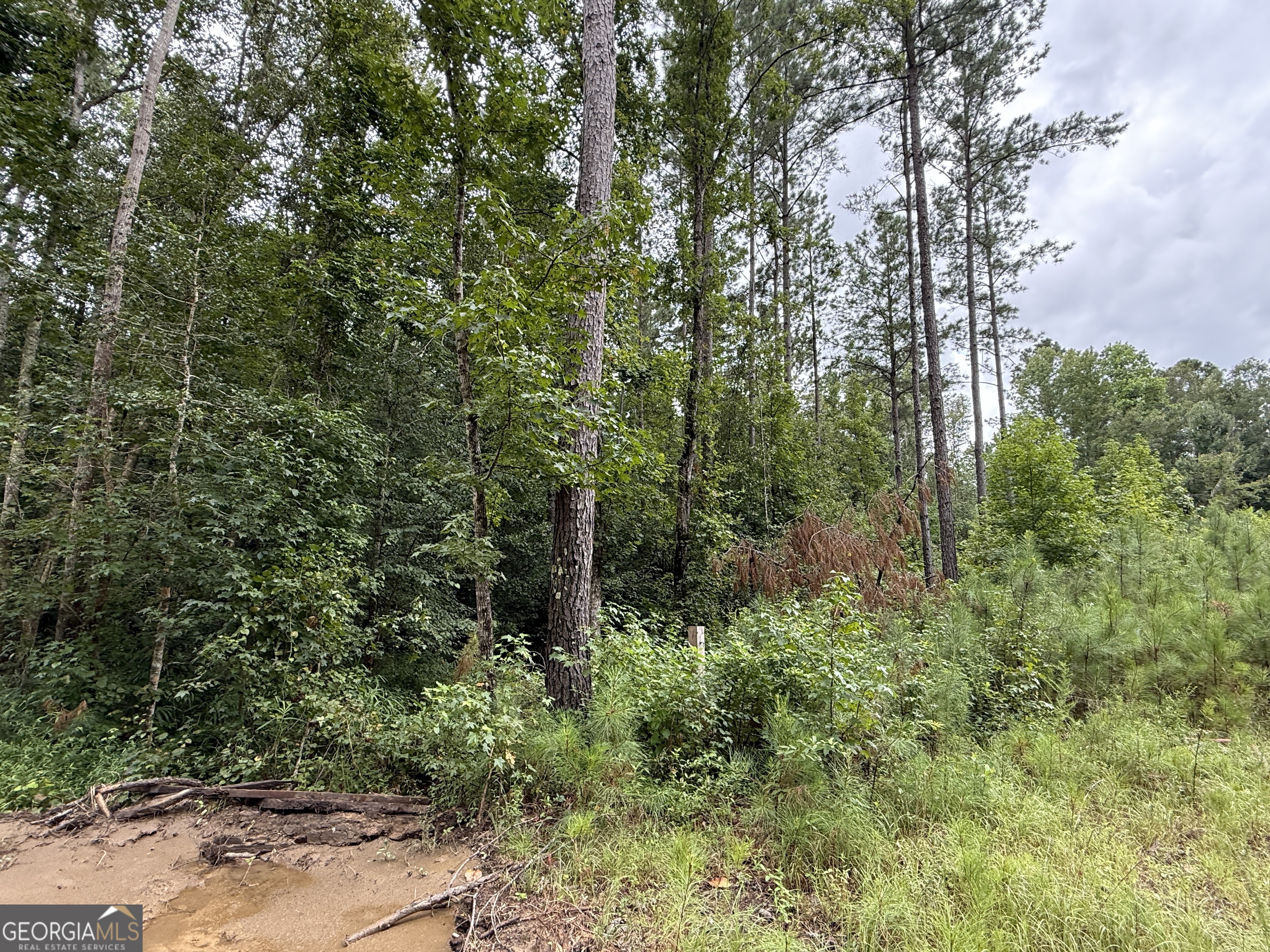 39.87 Acres Irby Road Property Photo 42