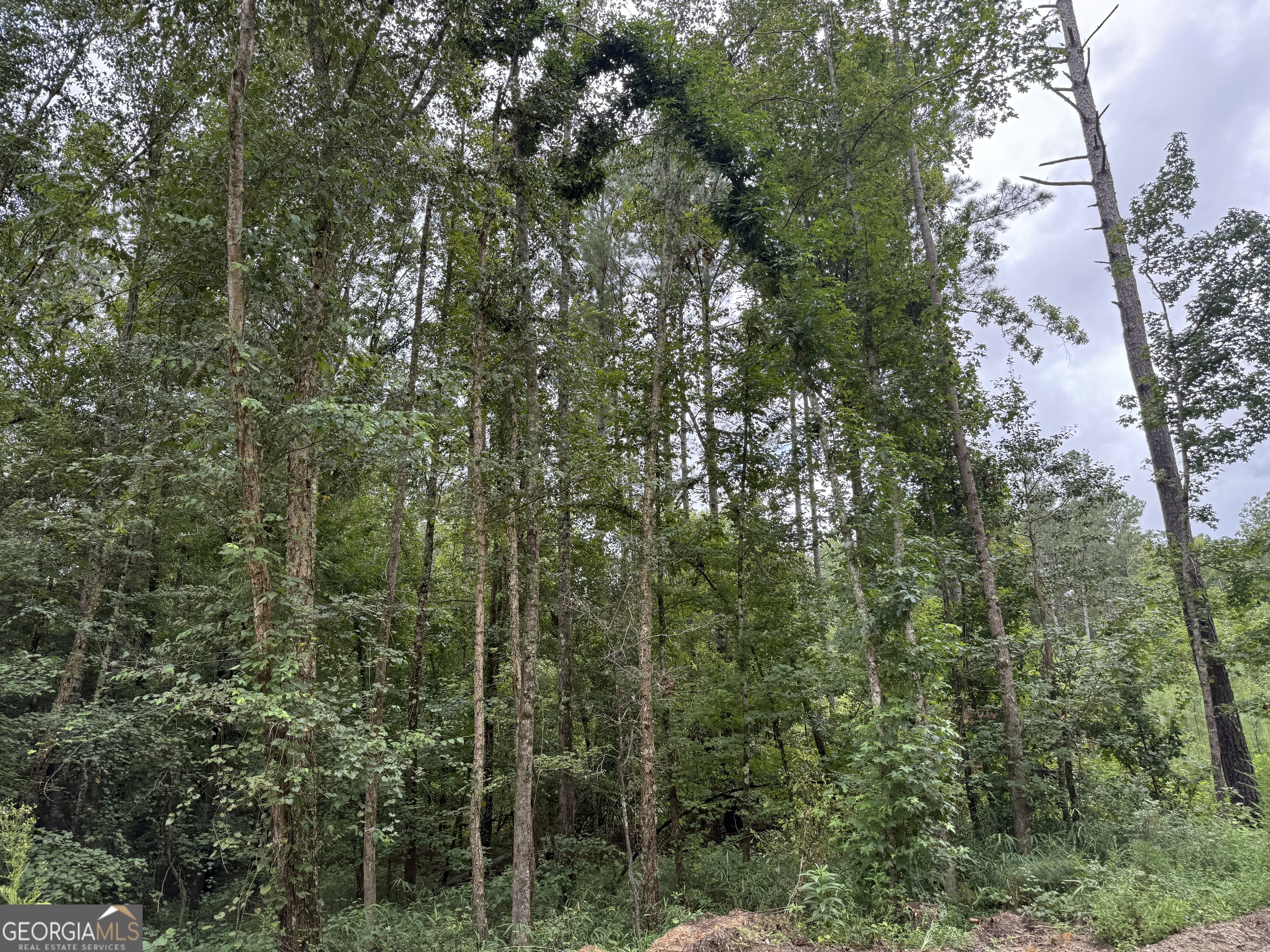 39.87 Acres Irby Road Property Photo 43