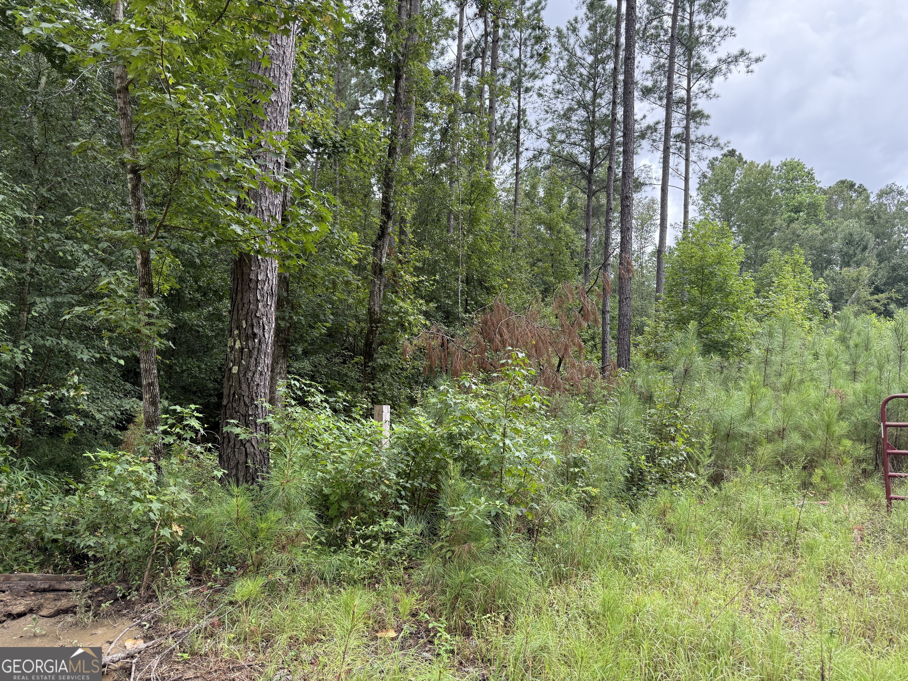 39.87 Acres Irby Road Property Photo 44