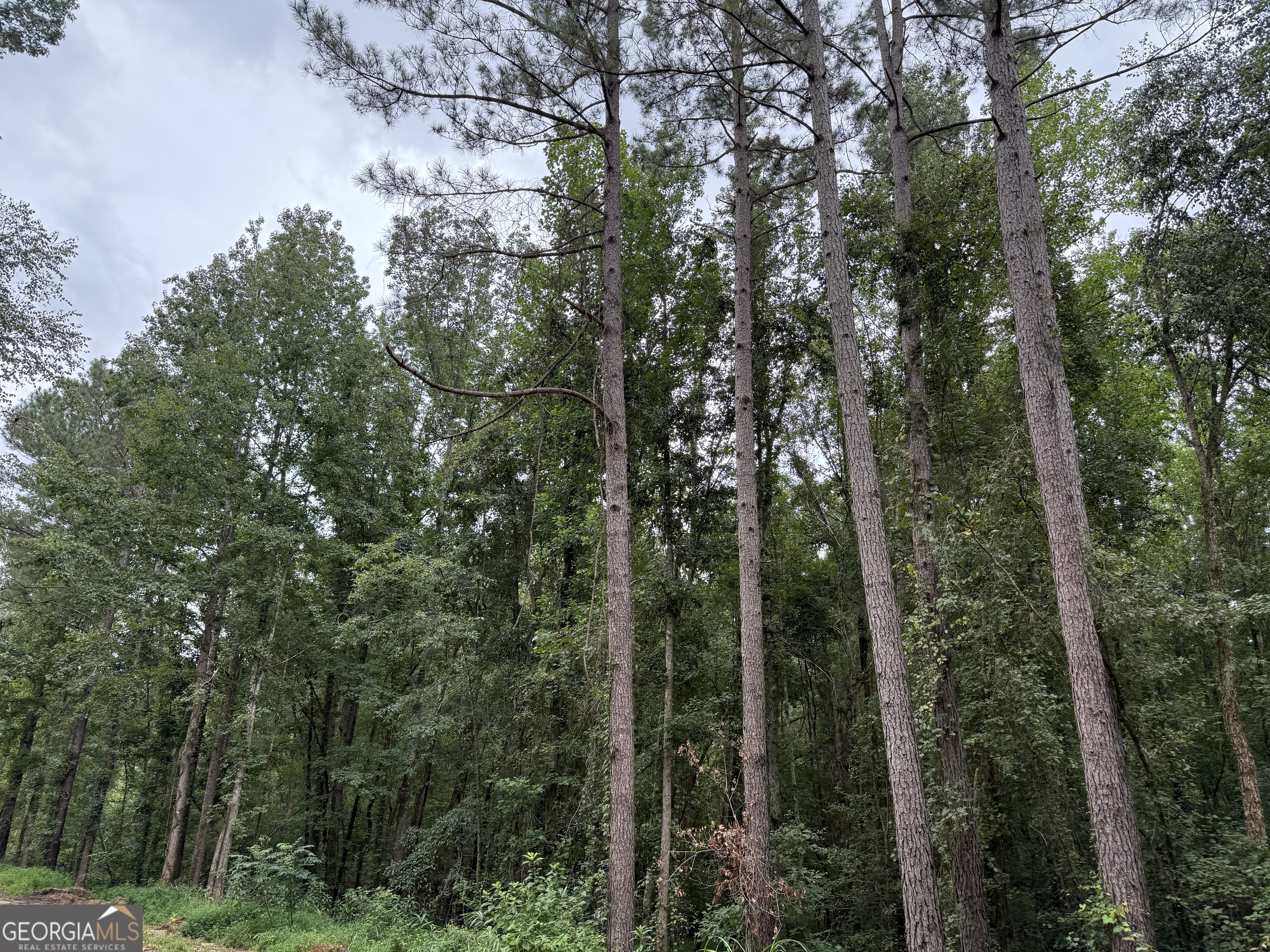 39.87 Acres Irby Road Property Photo 45
