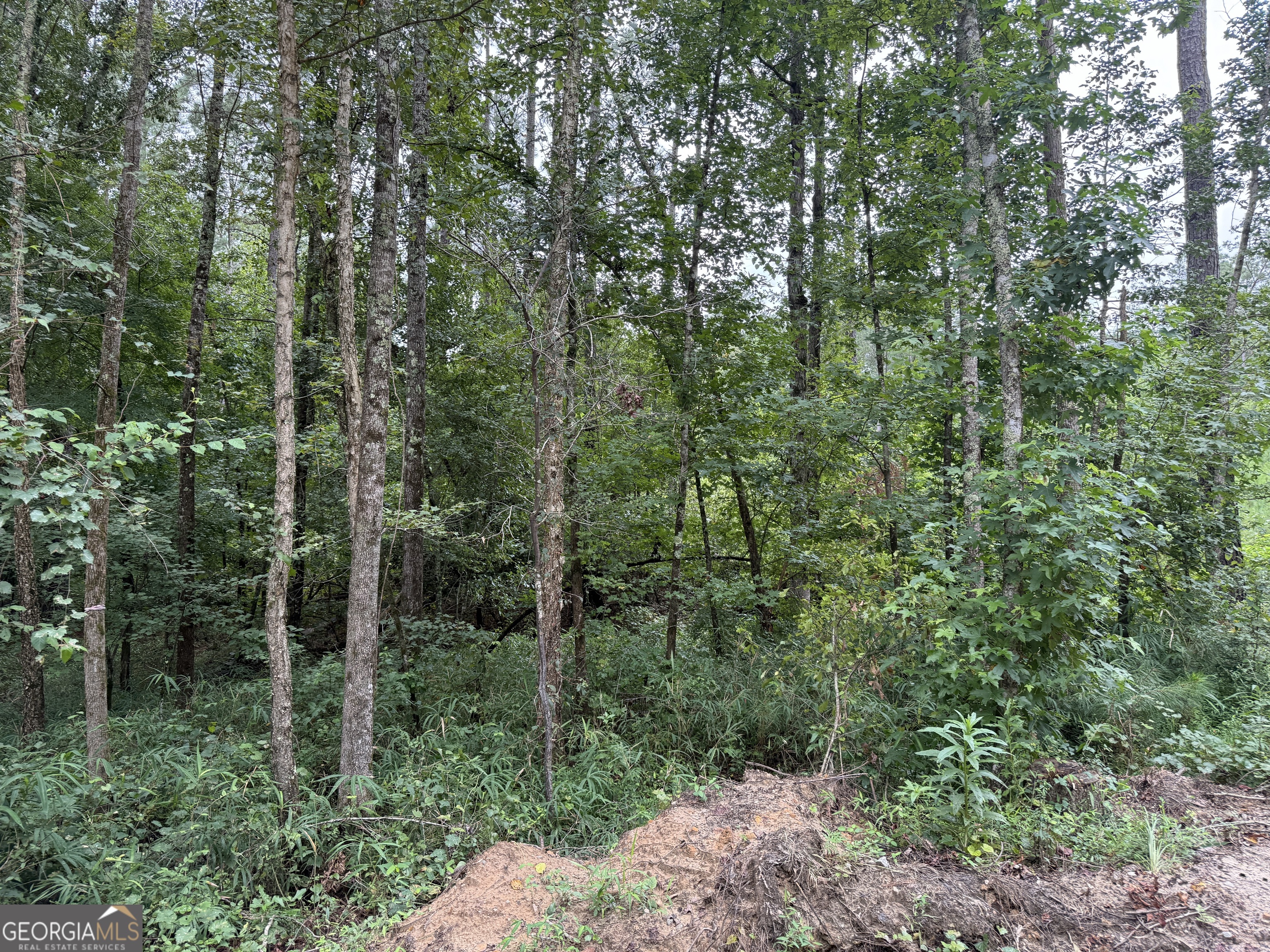 39.87 Acres Irby Road Property Photo 46
