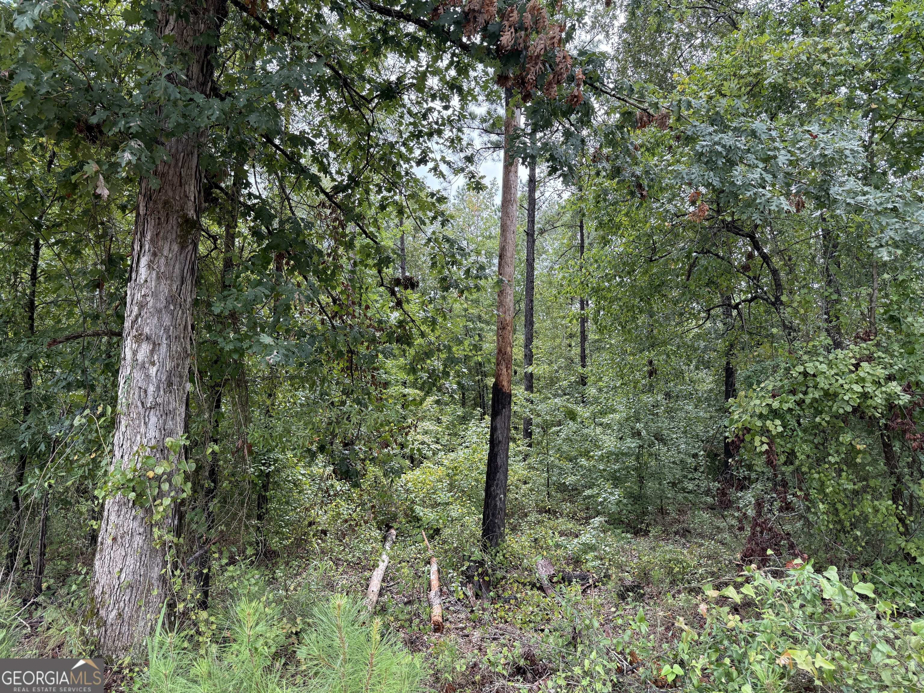 39.87 Acres Irby Road Property Photo 49