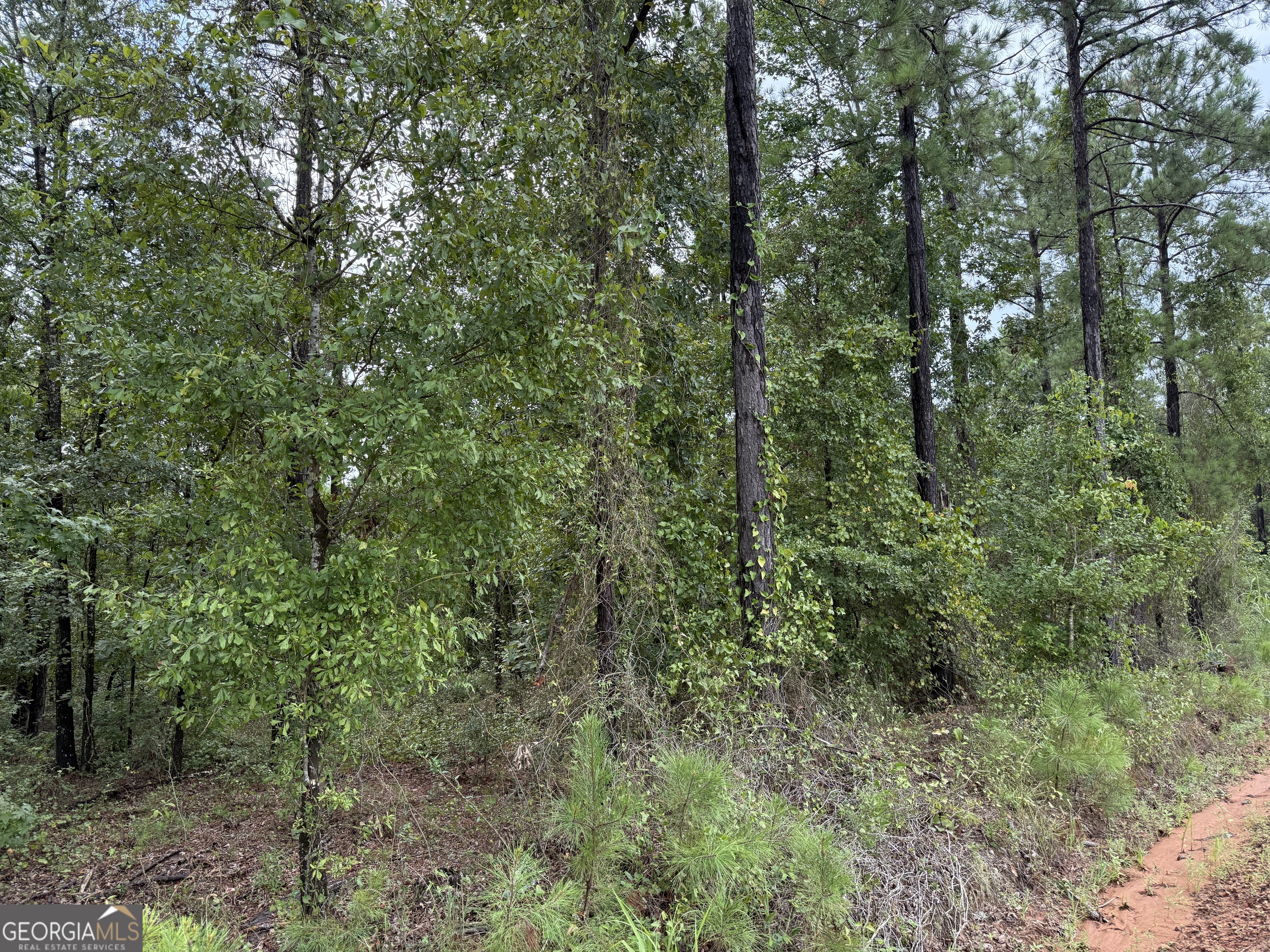 39.87 Acres Irby Road Property Photo 50