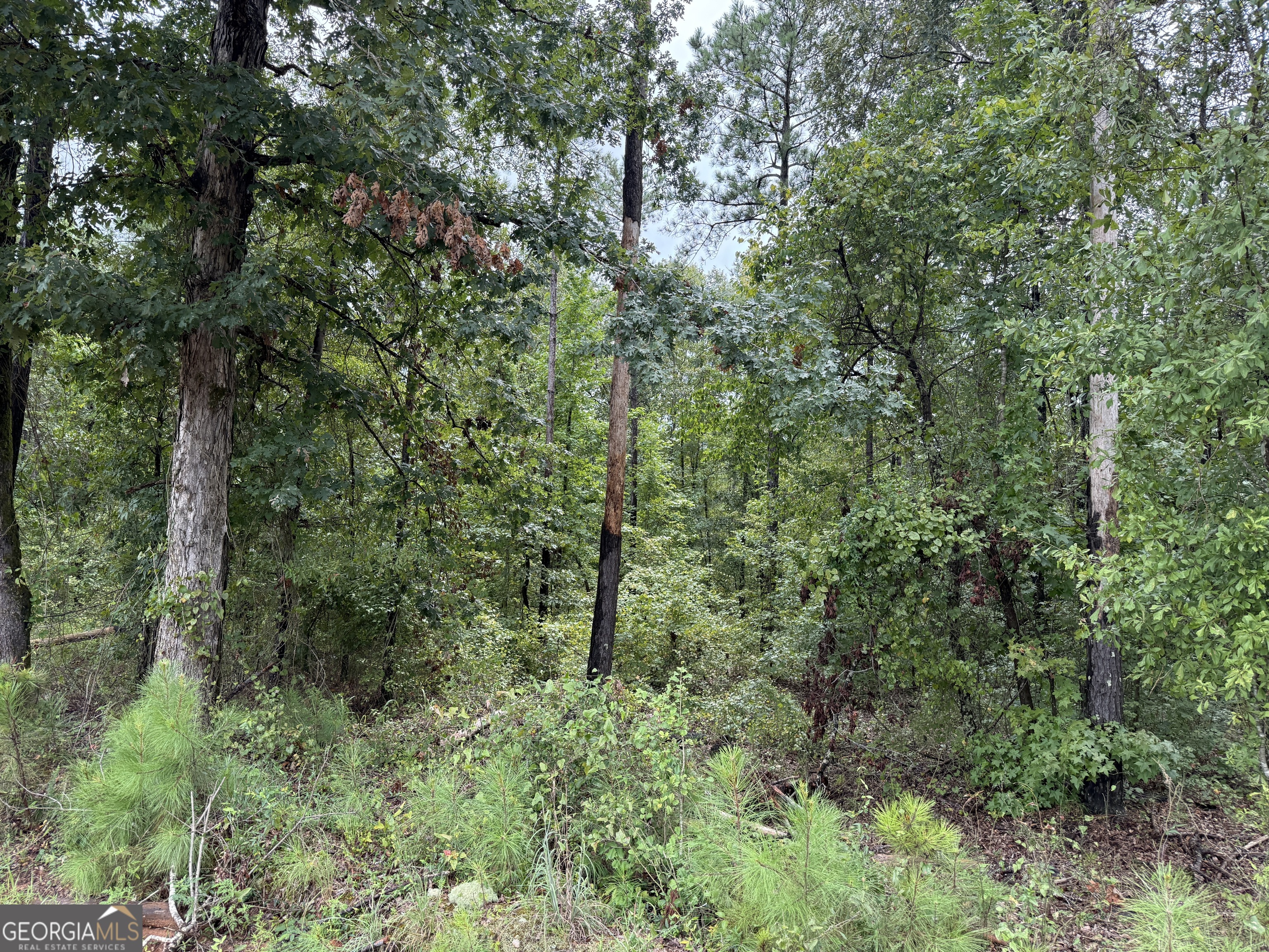 39.87 Acres Irby Road Property Photo 51