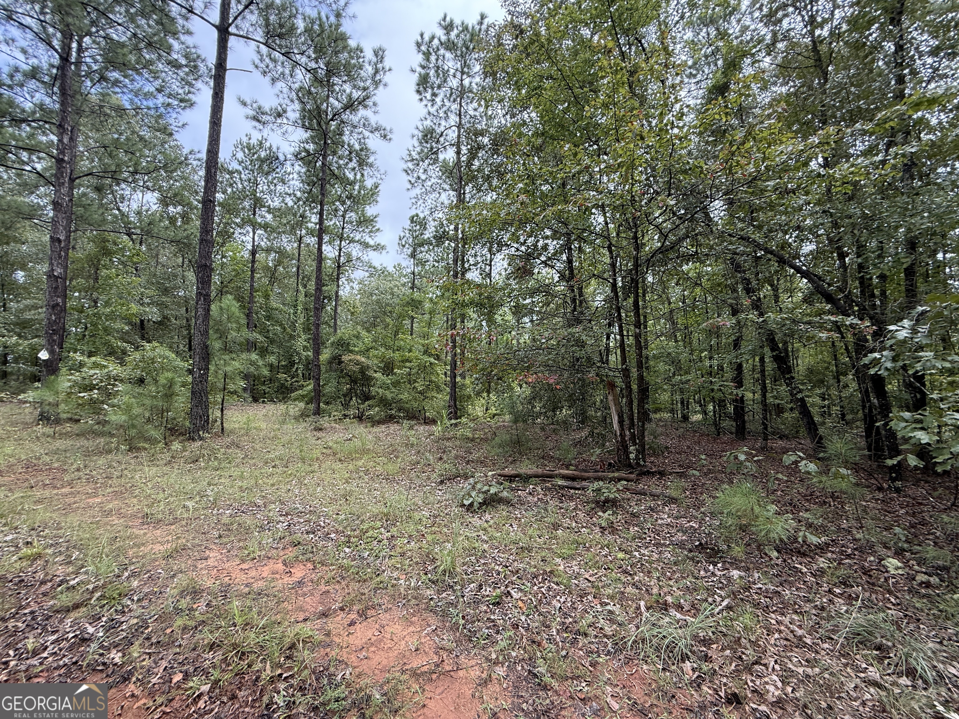 39.87 Acres Irby Road Property Photo 52