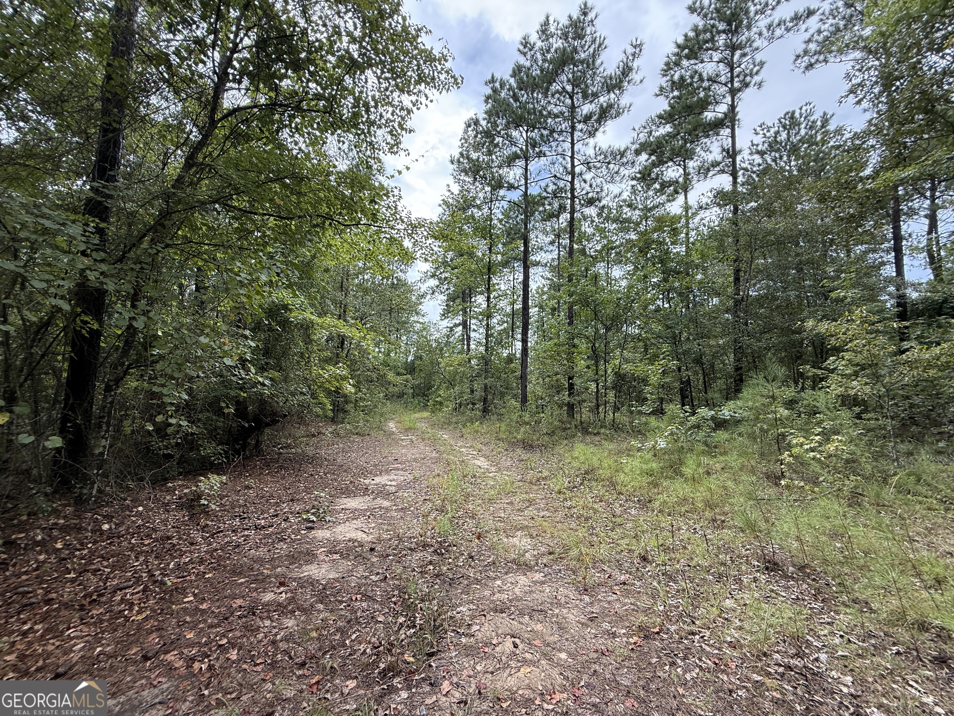 39.87 Acres Irby Road Property Photo 53