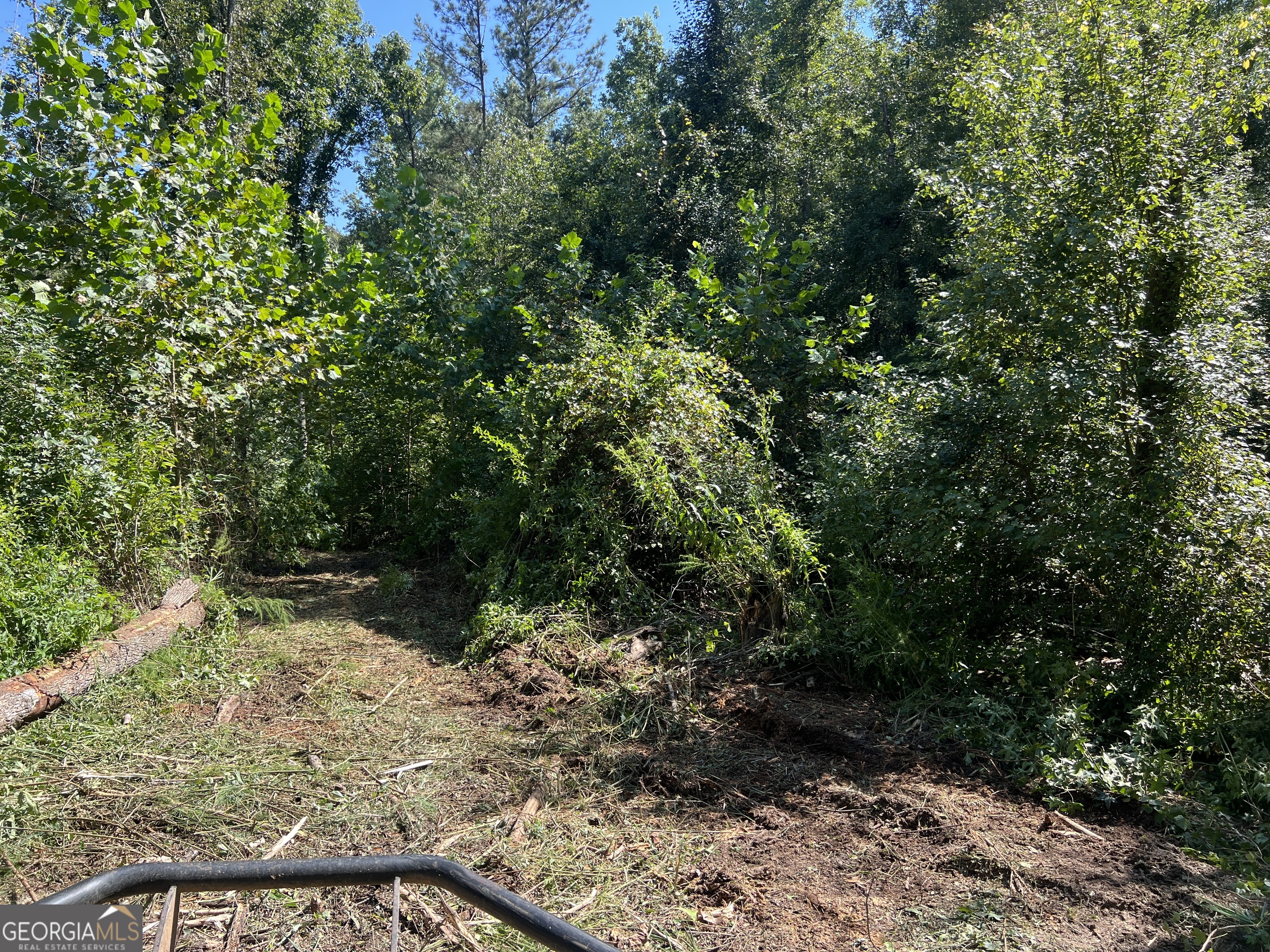 39.87 Acres Irby Road Property Photo 54