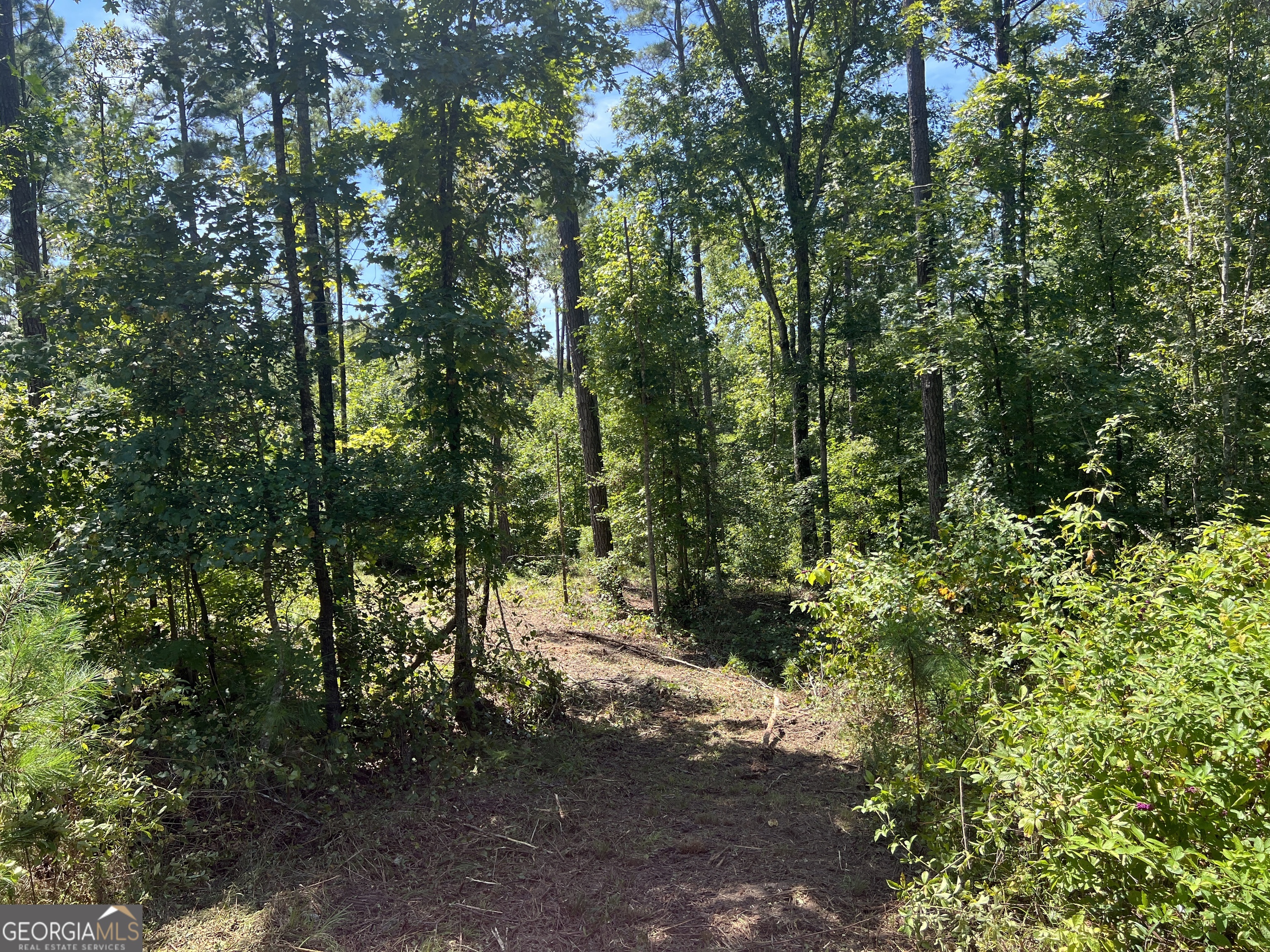 39.87 Acres Irby Road Property Photo 55