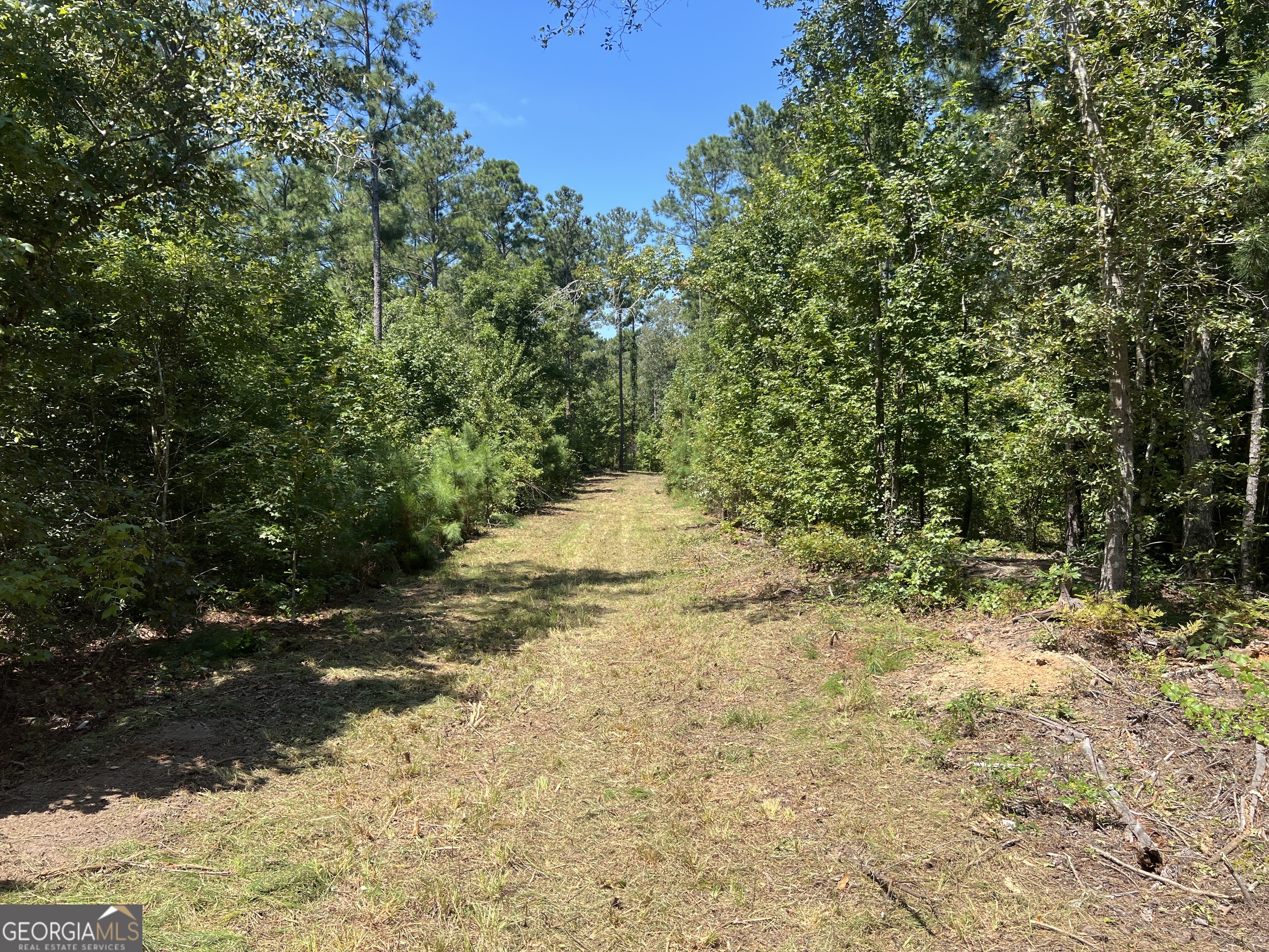 39.87 Acres Irby Road Property Photo 56
