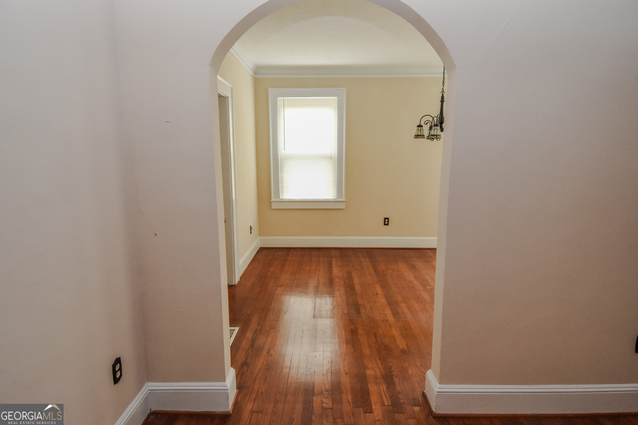 847 E College Street Property Photo 9