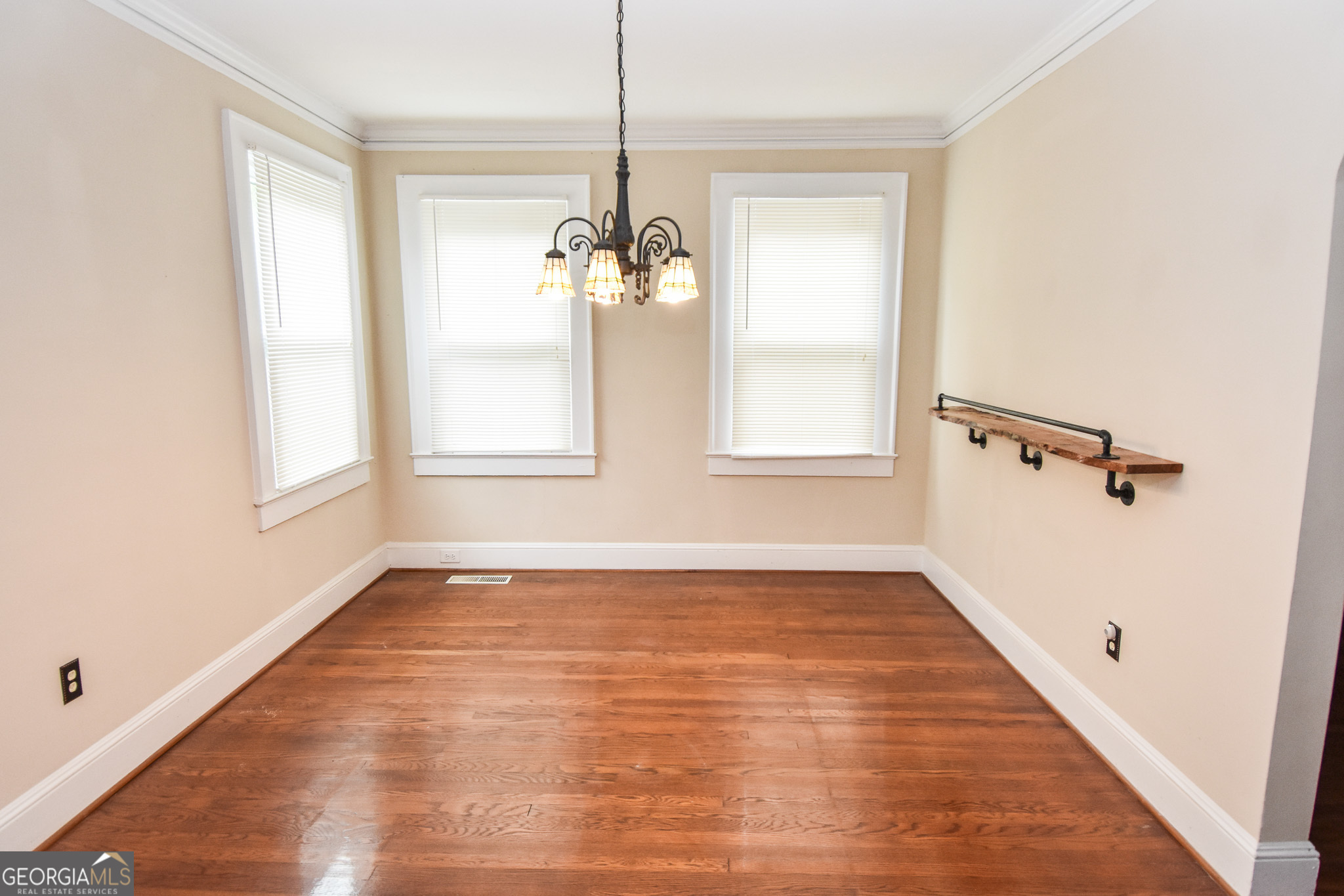 847 E College Street Property Photo 14