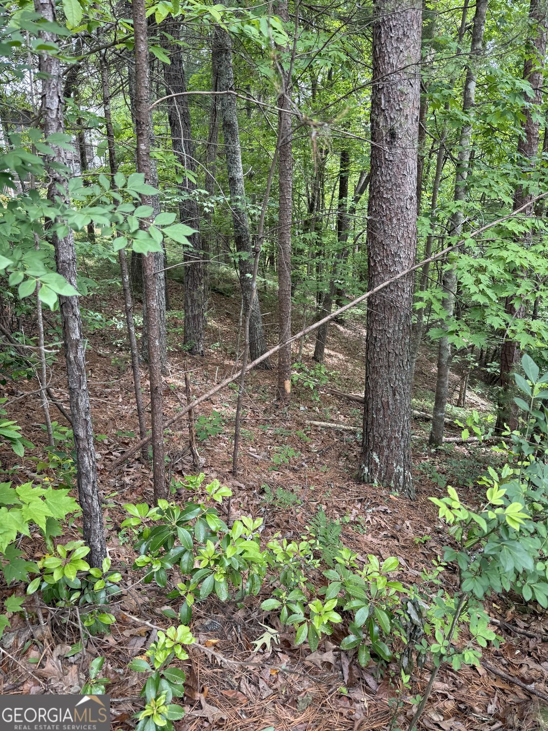 0 Hinterstraten Weg Lot 116 Property Photo 1