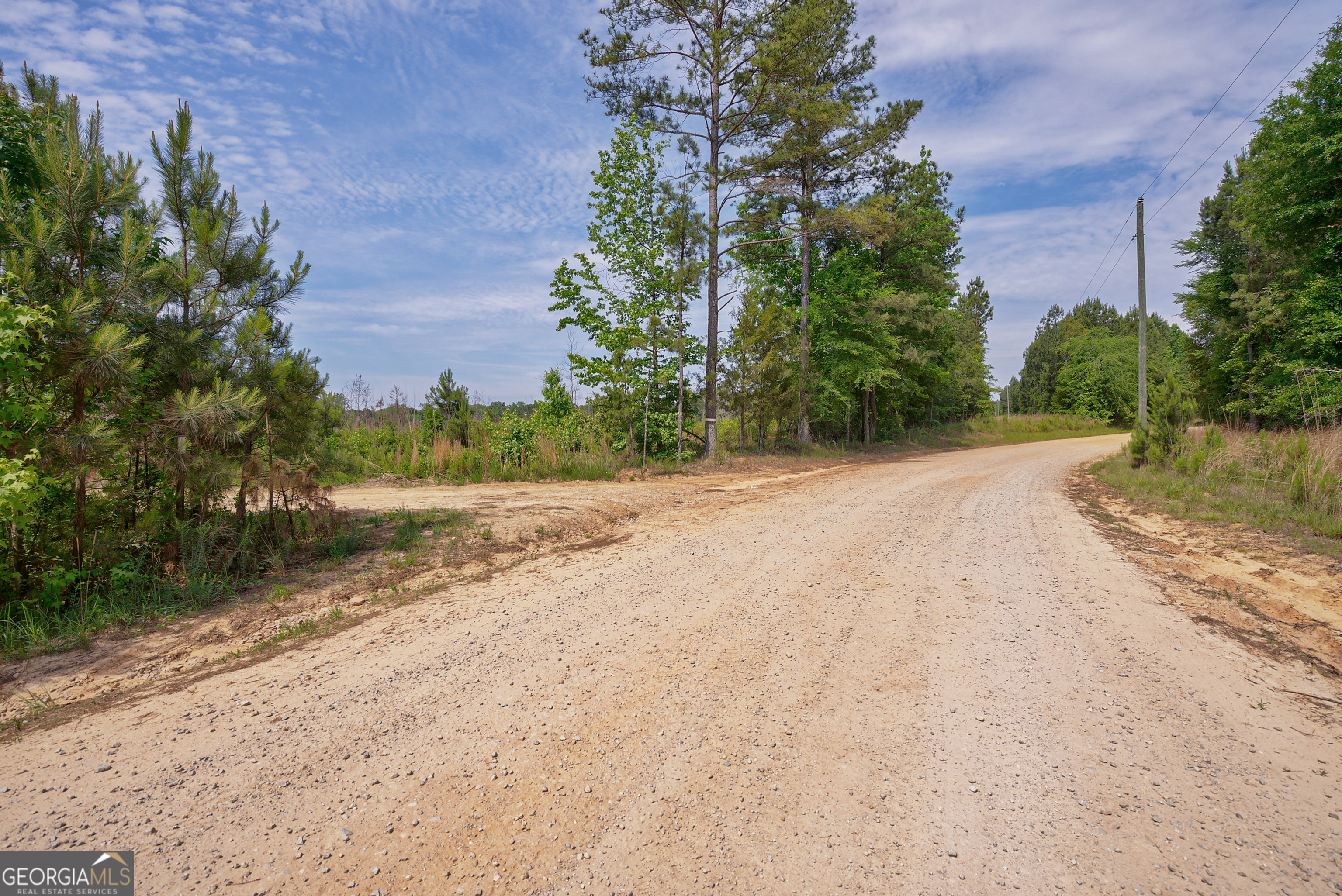 0 Gene Smith Road Property Photo 4