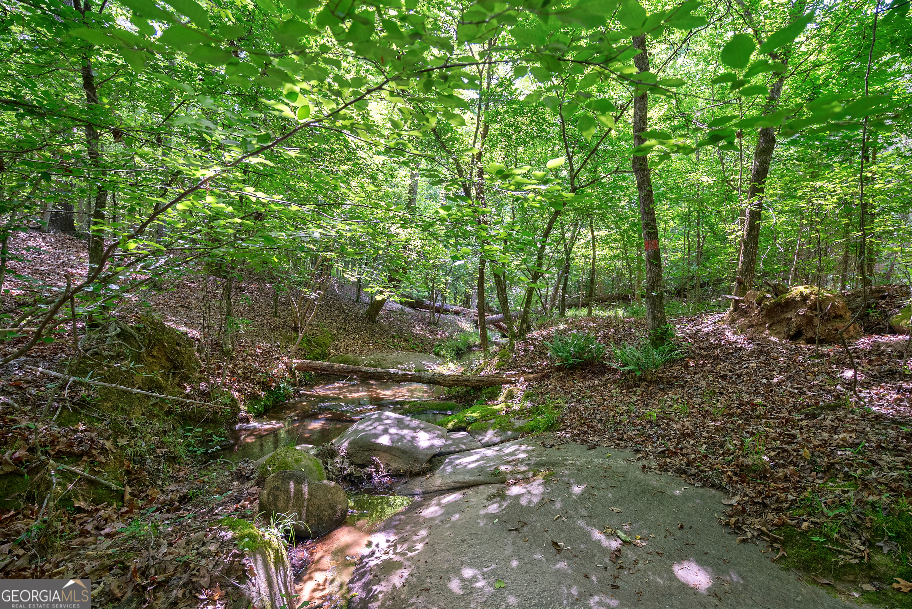 0 Gene Smith Road Property Photo 15