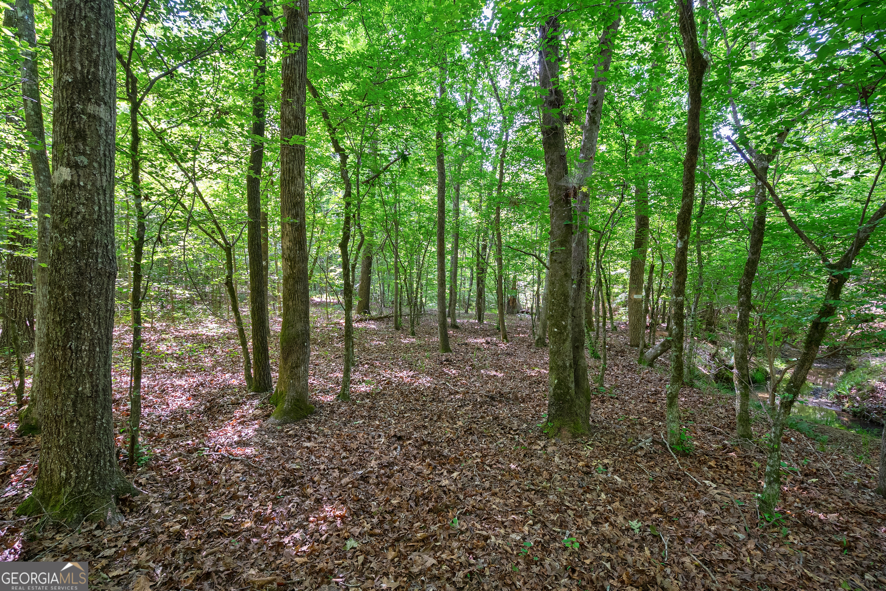 0 Gene Smith Road Property Photo 16
