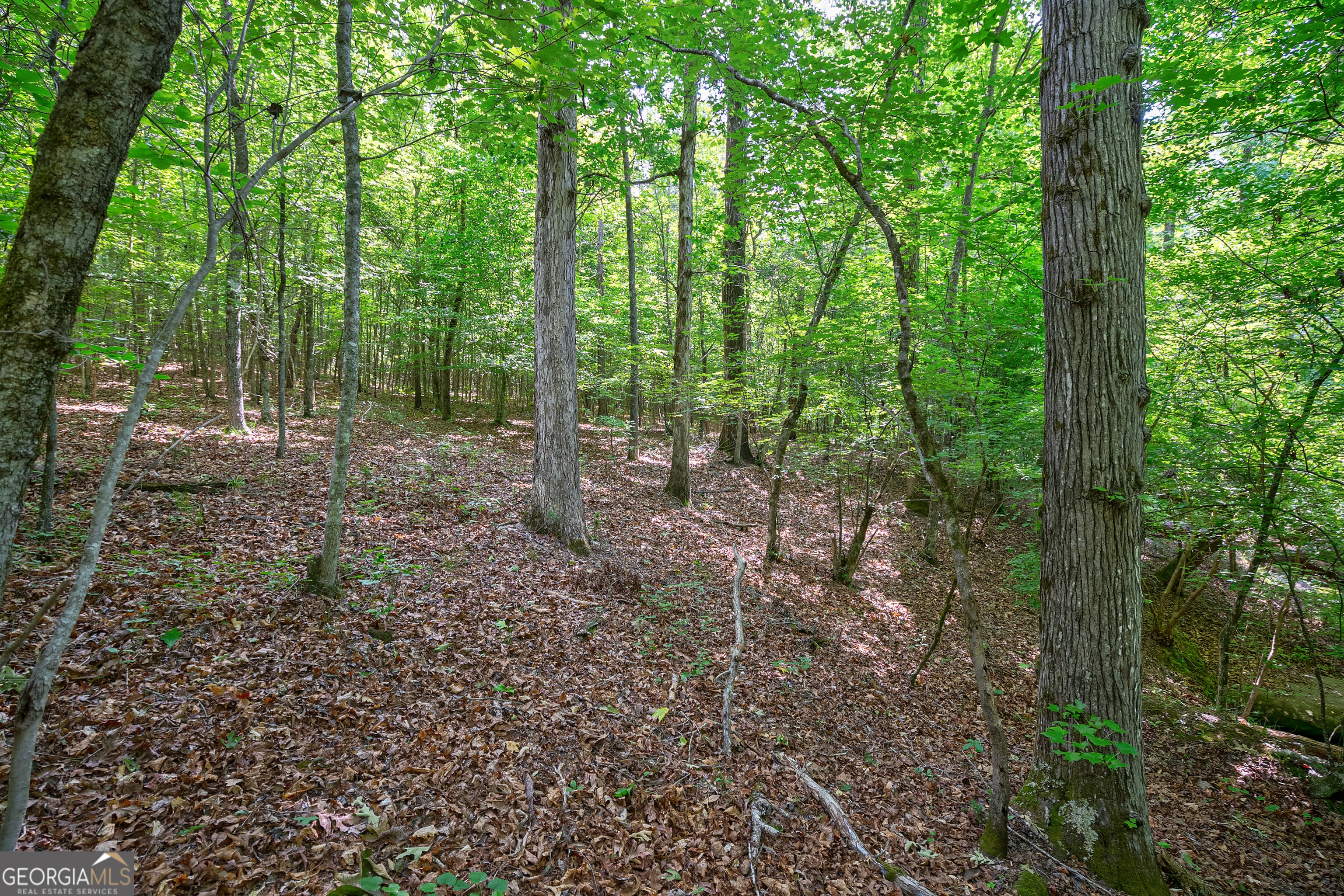 0 Gene Smith Road Property Photo 17