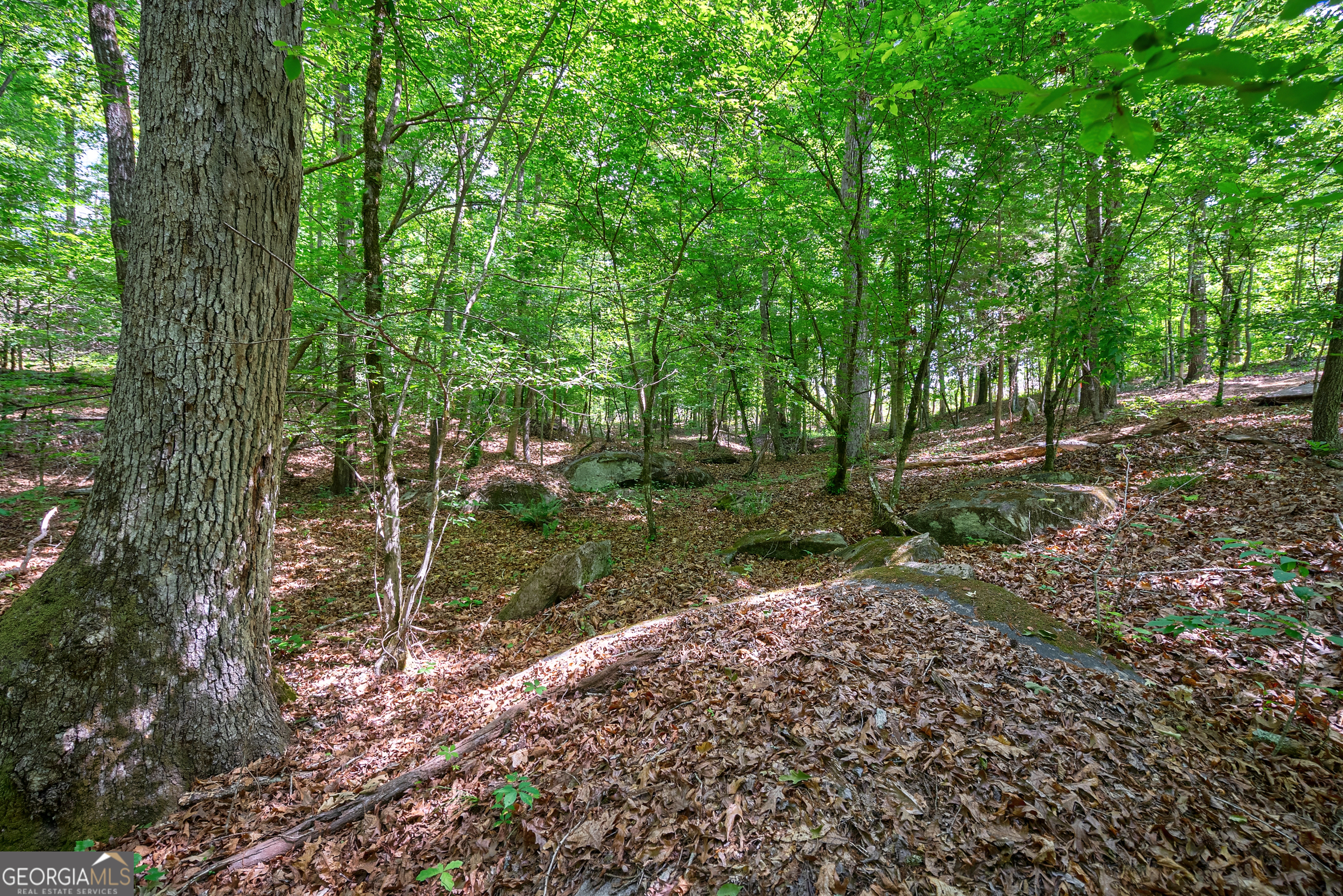 0 Gene Smith Road Property Photo 18
